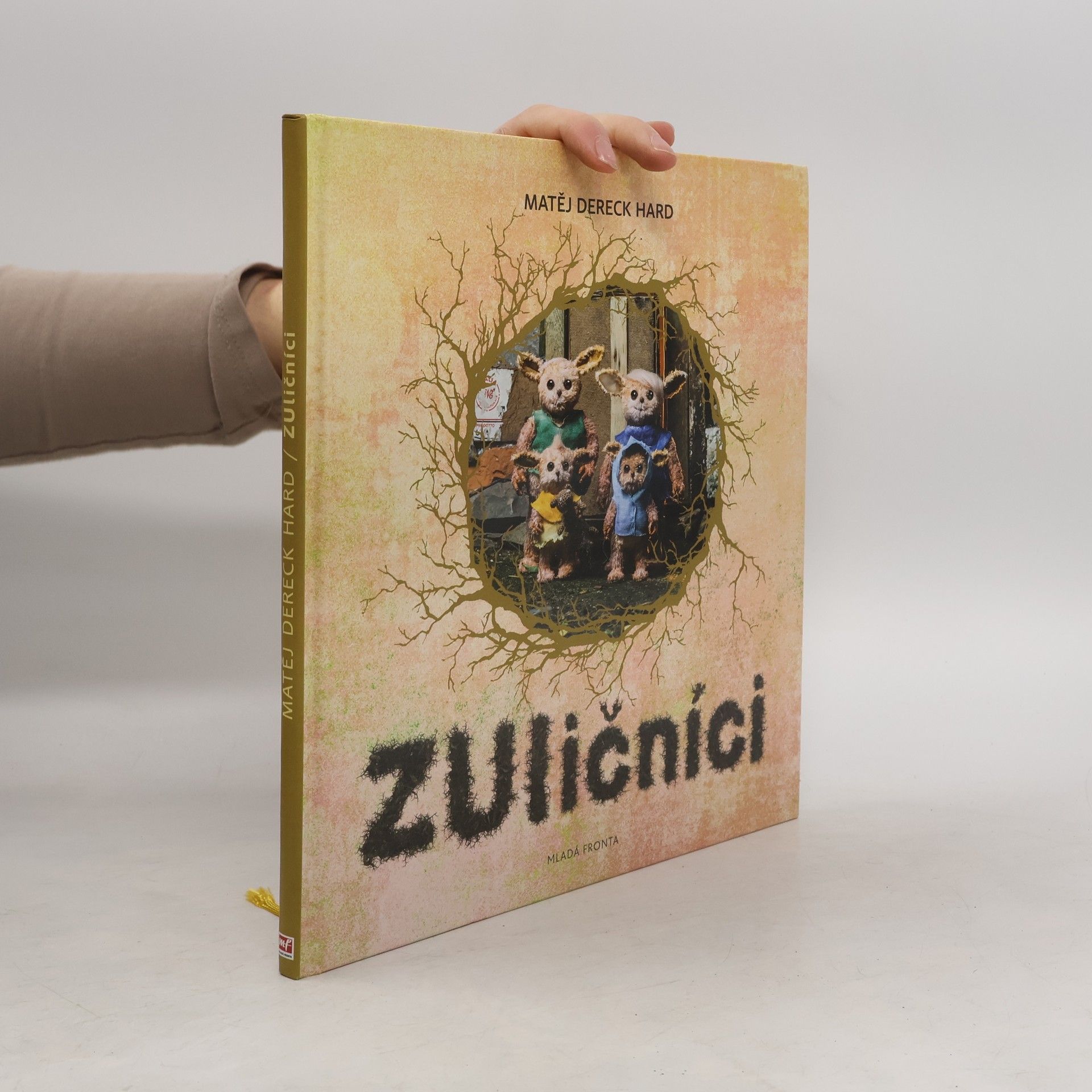 Dereck Hard ZUličníci