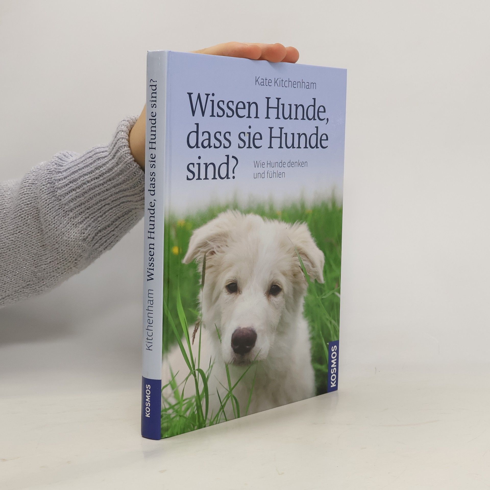 Wissen Hunde, dass sie Hunde sind?