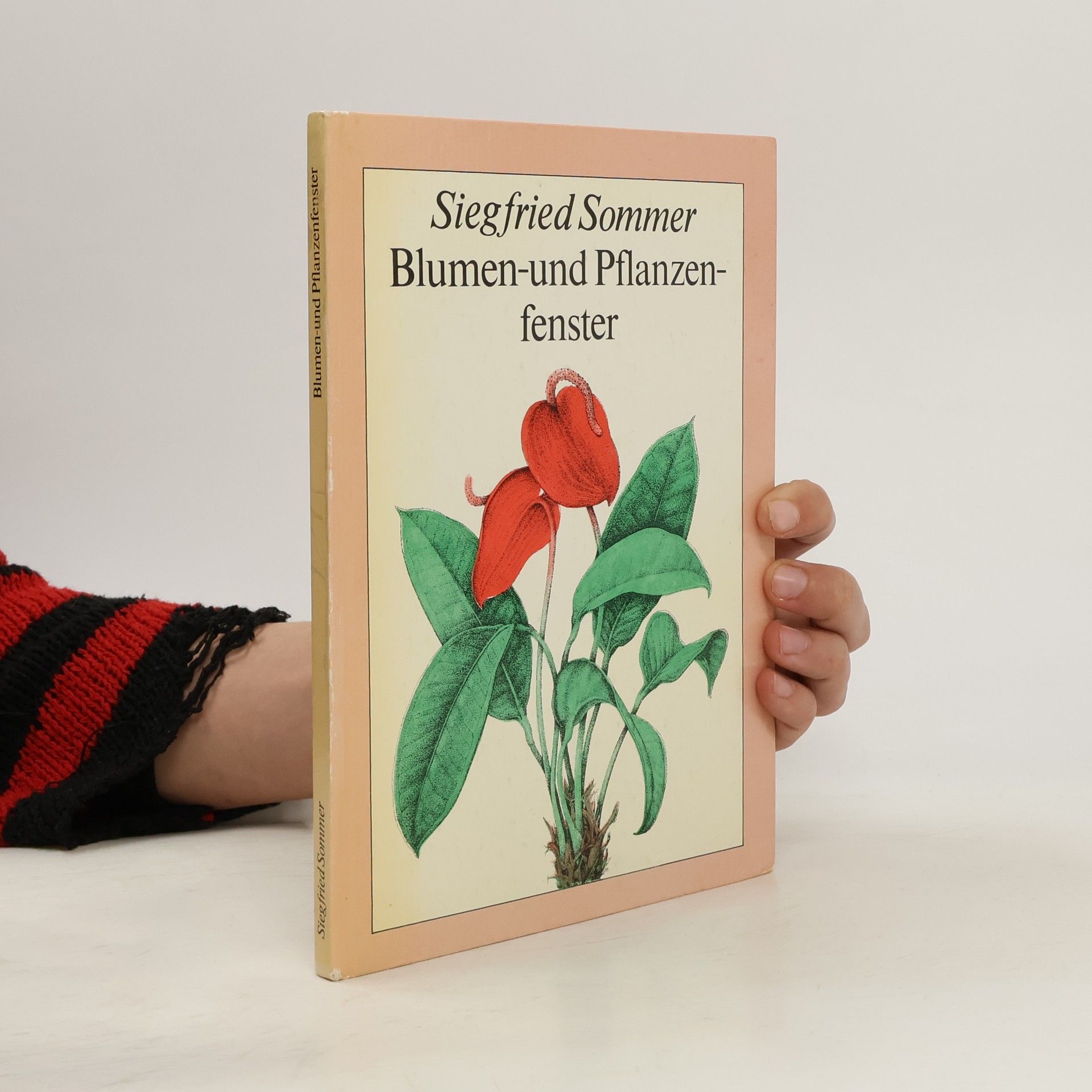 Siegfried Sommer Blumen und Pflanzen fenster