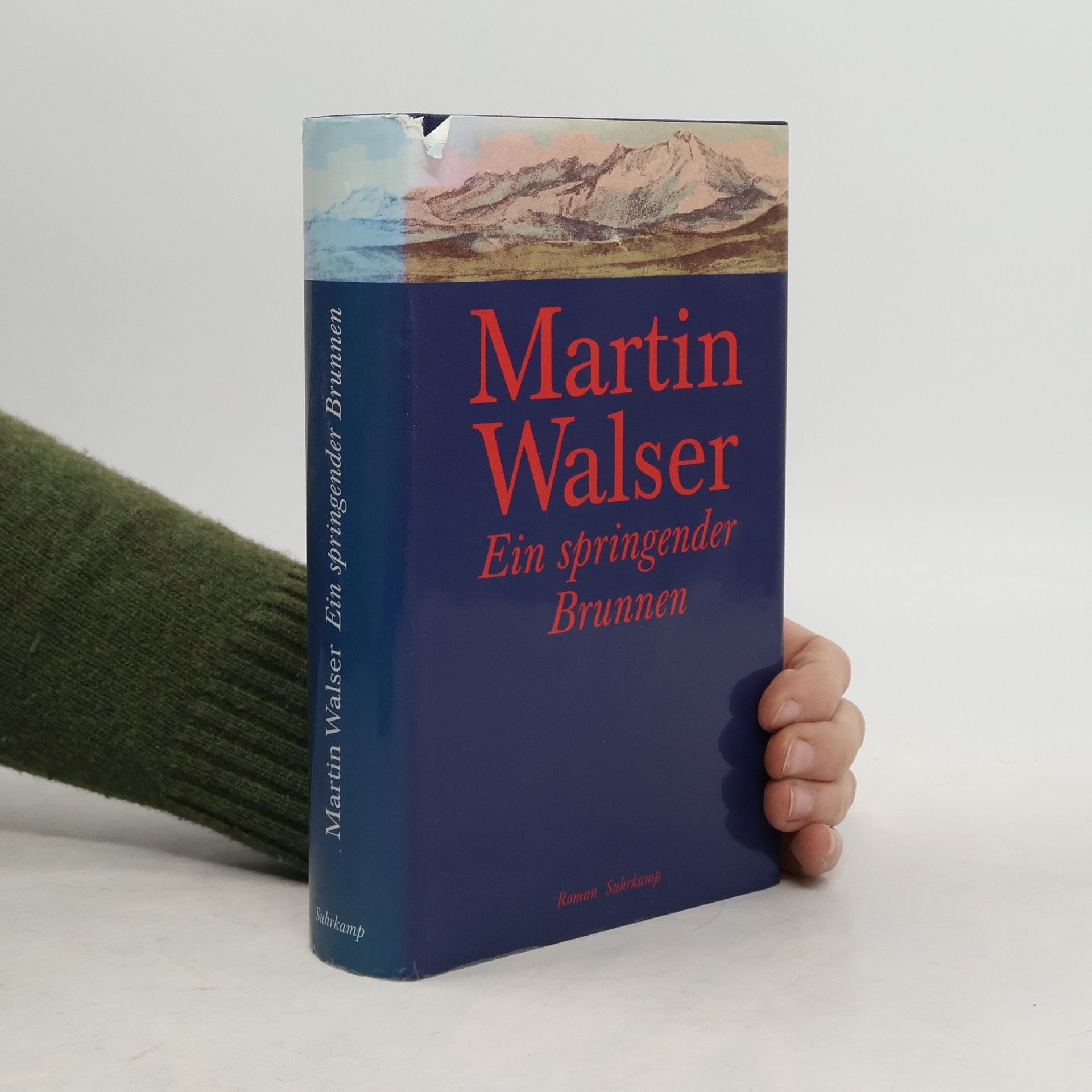 Martin Walser Ein springender Brunnen