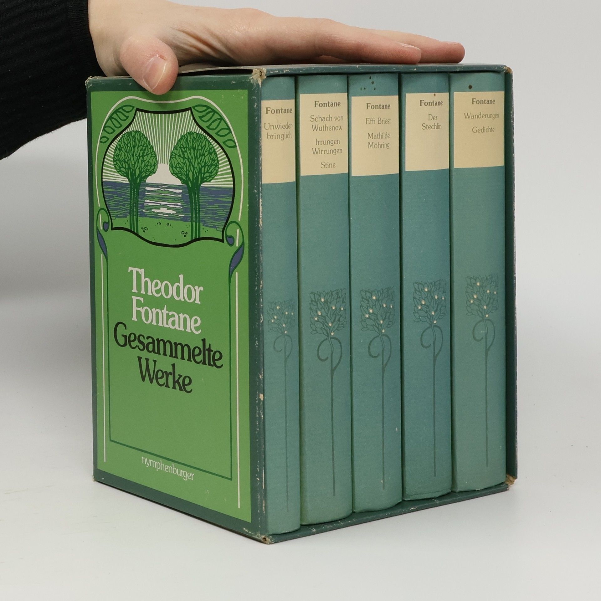 Theodor Fontane Gesammelte Werke 1-5