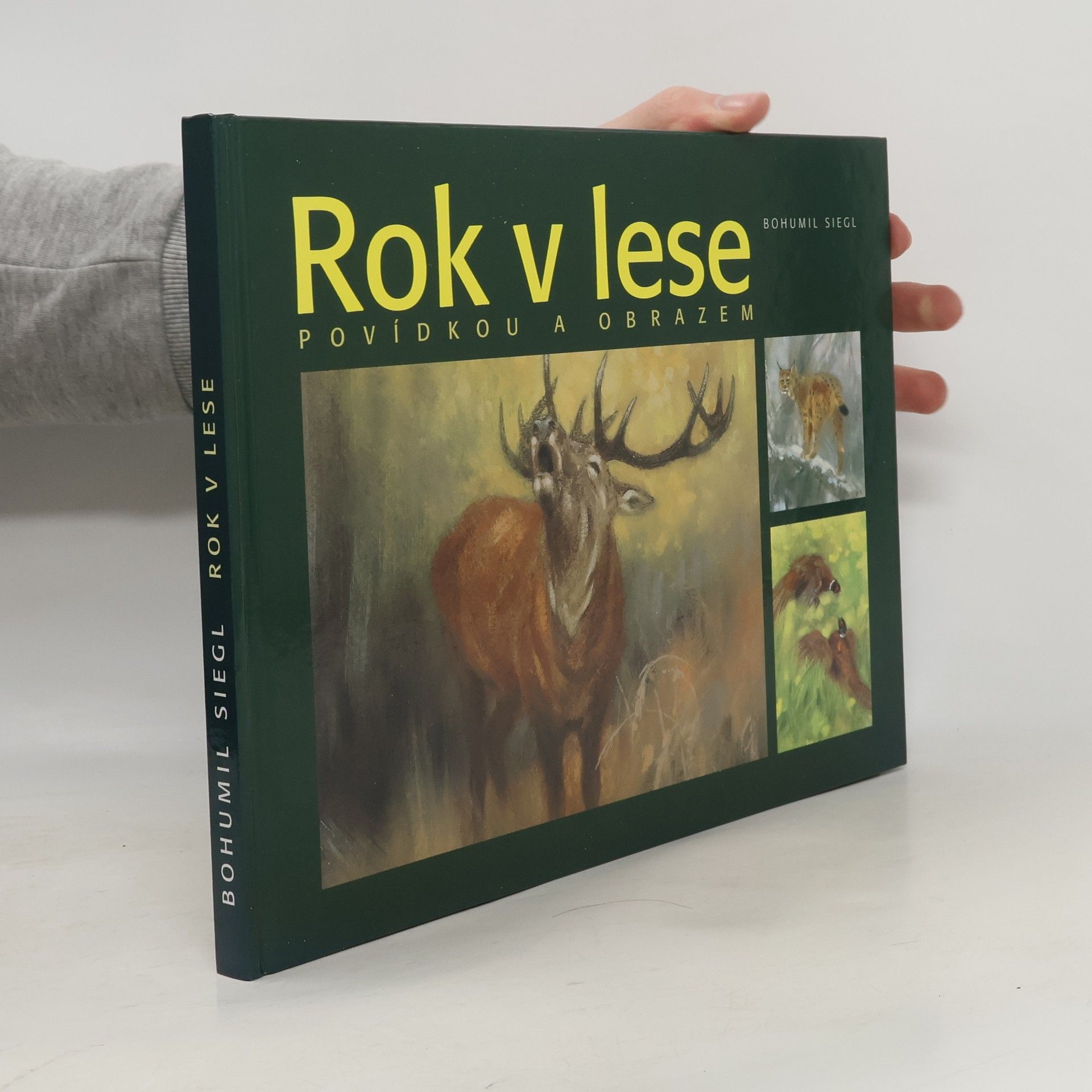 Bohumil Siegl Rok v lese
