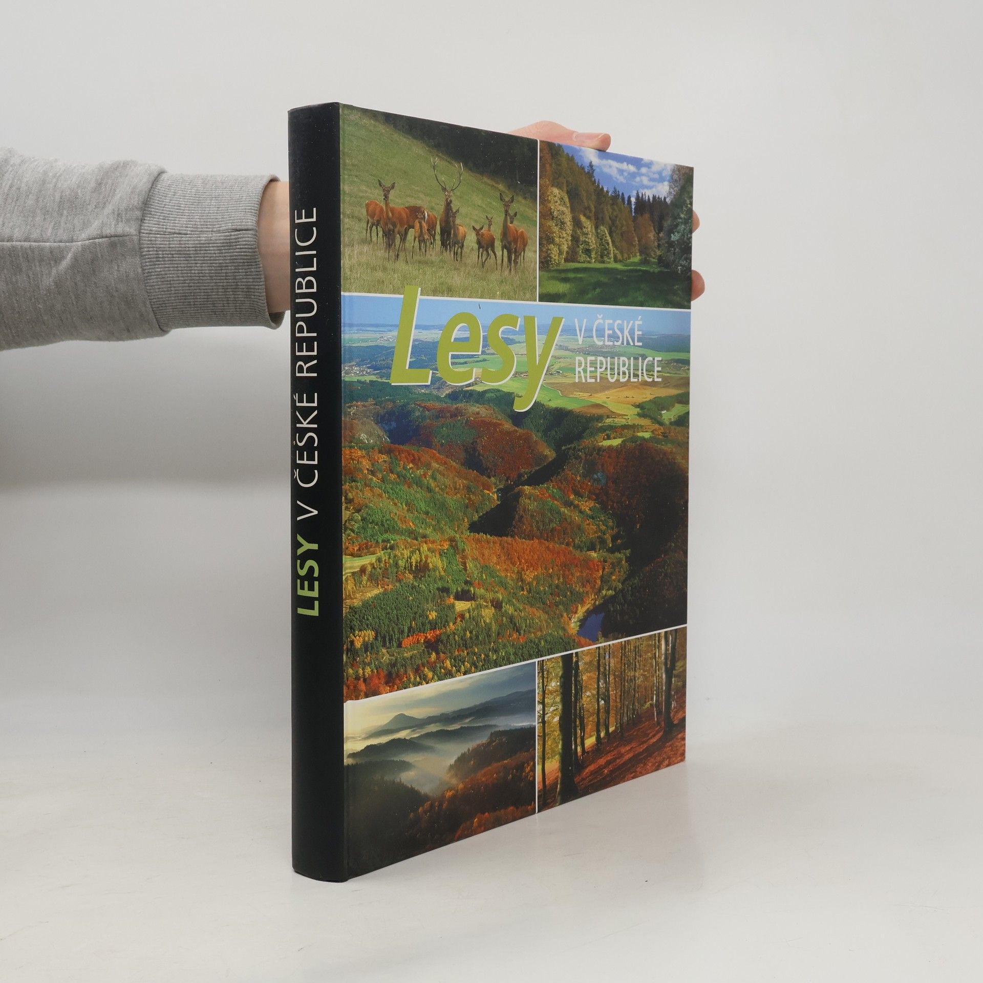 Lesy v České republice