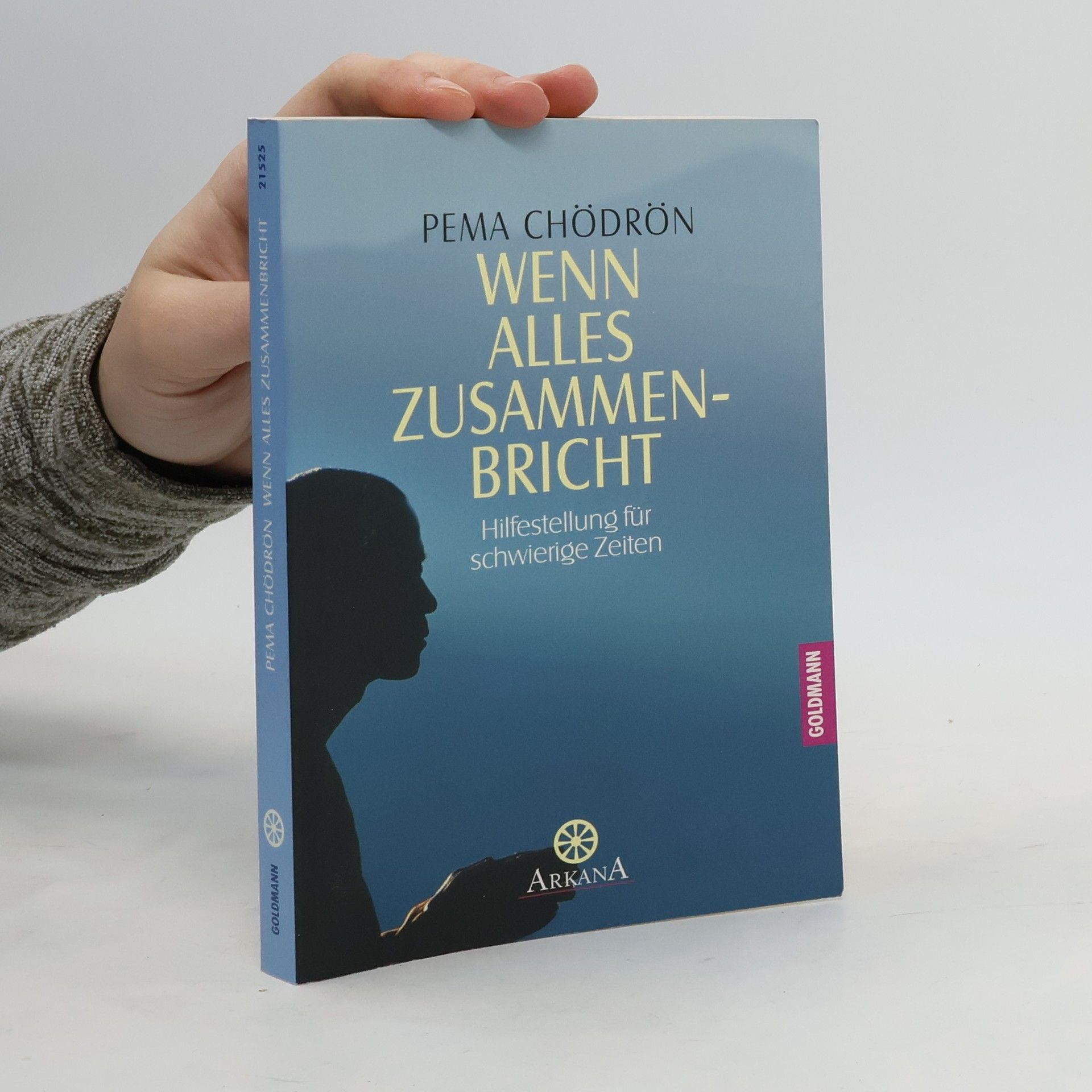 Pema Chödrön Wenn alles zusammenbricht