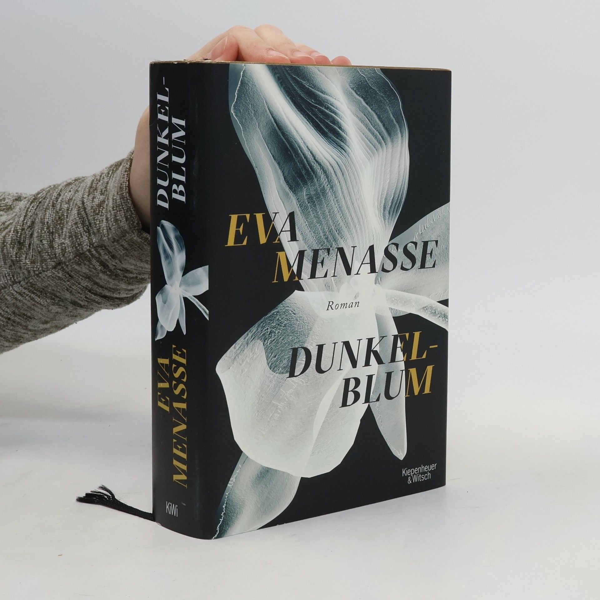 Eva Menasse Dunkelblum