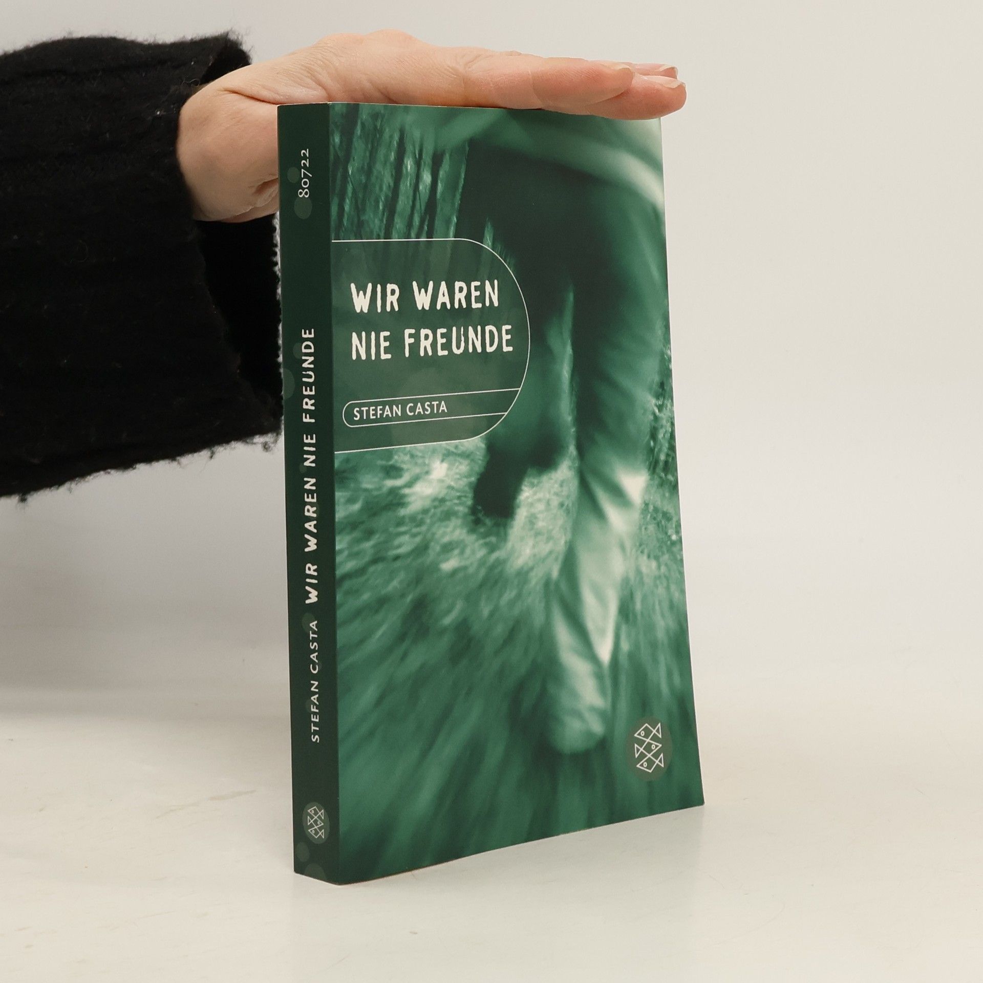 Stefan Casta Wir waren nie Freunde