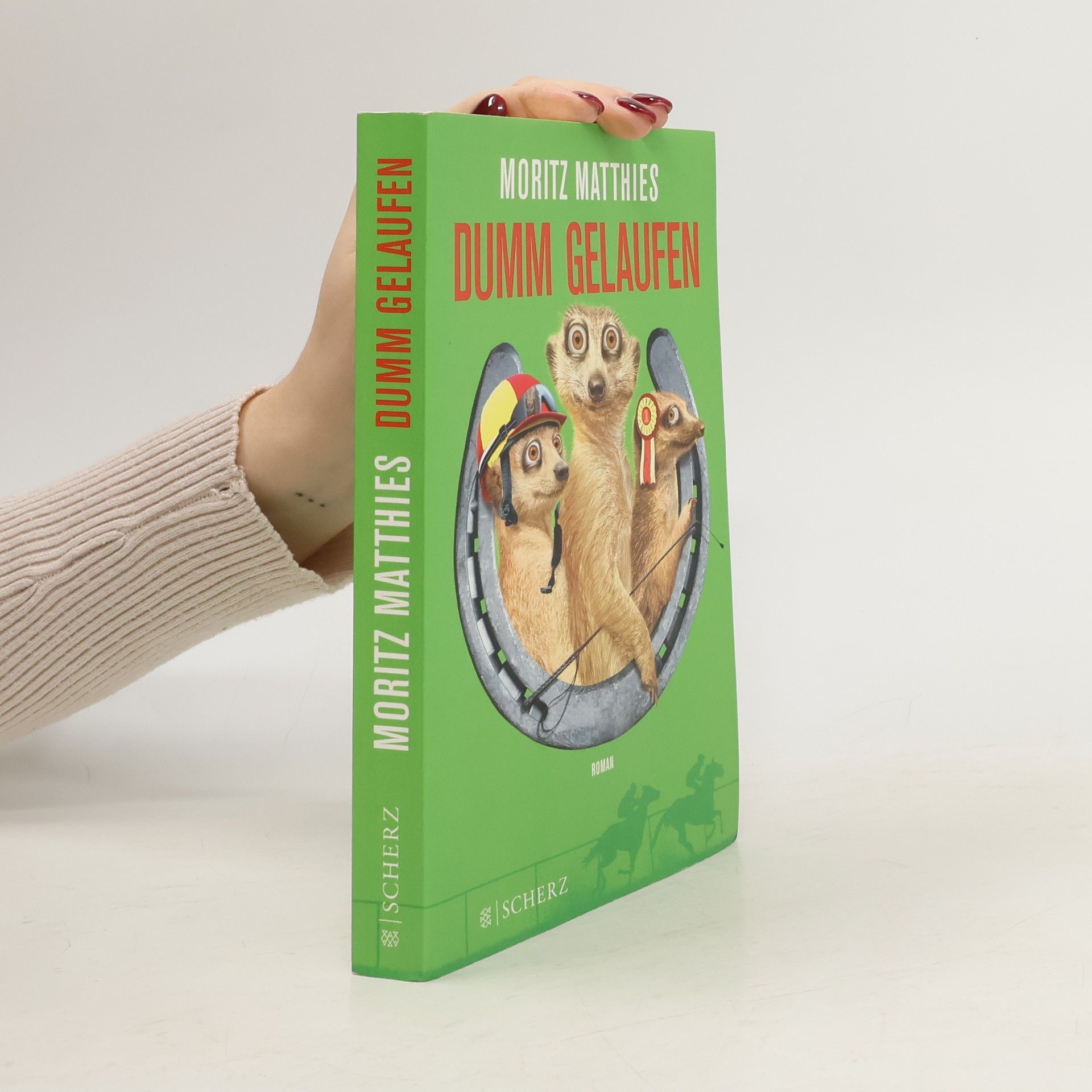 Moritz Matthies Dumm gelaufen