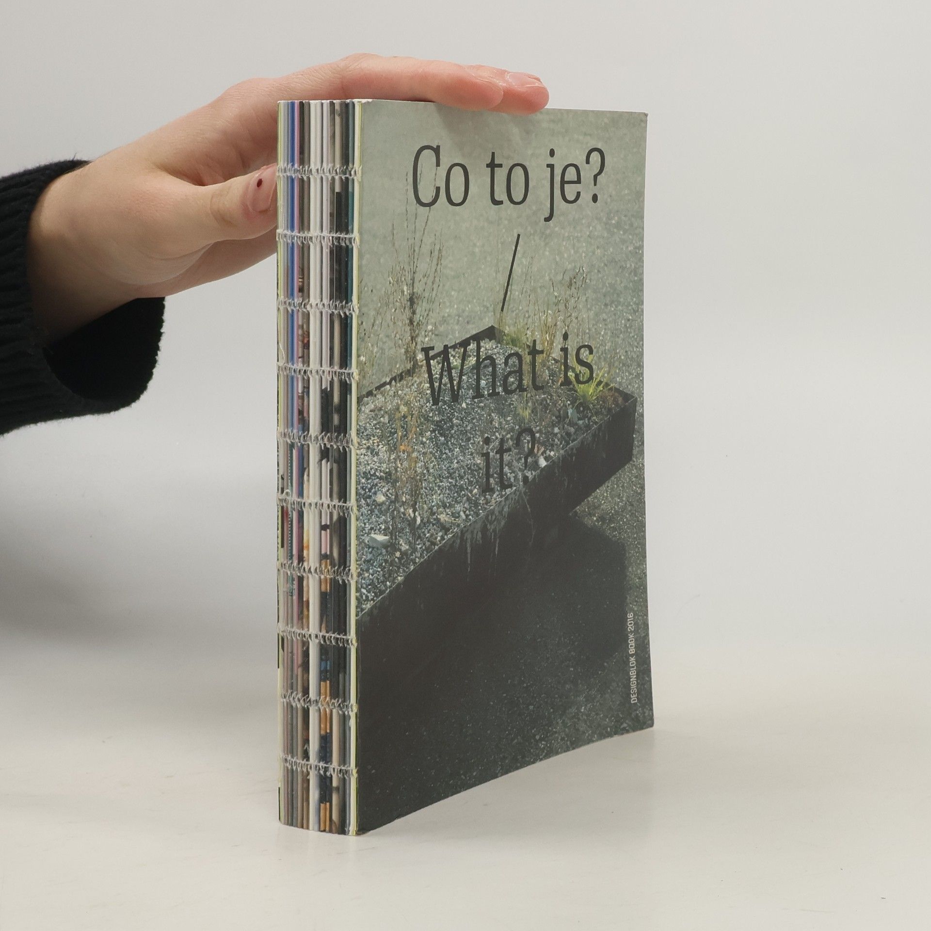 Jiří Macek Co to je? / What is it: Designblok Book 2016