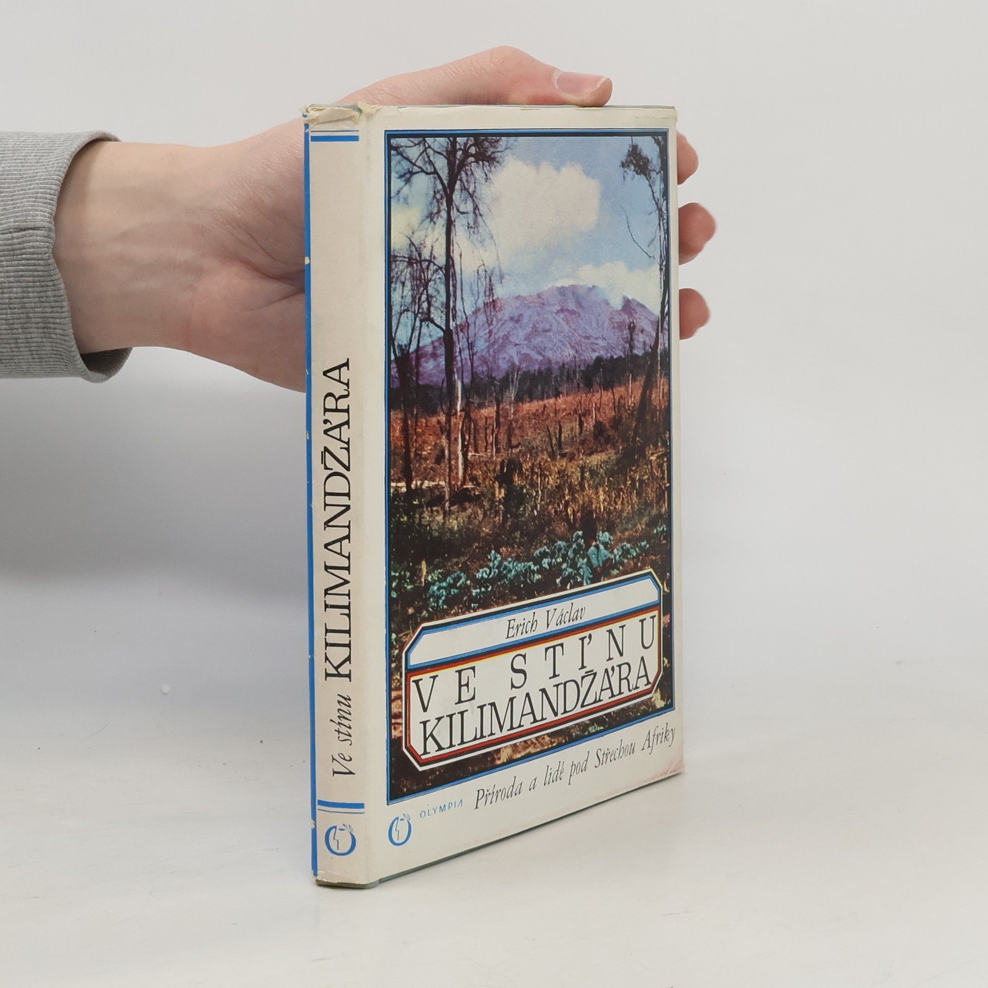 Ve stínu Kilimandžára
