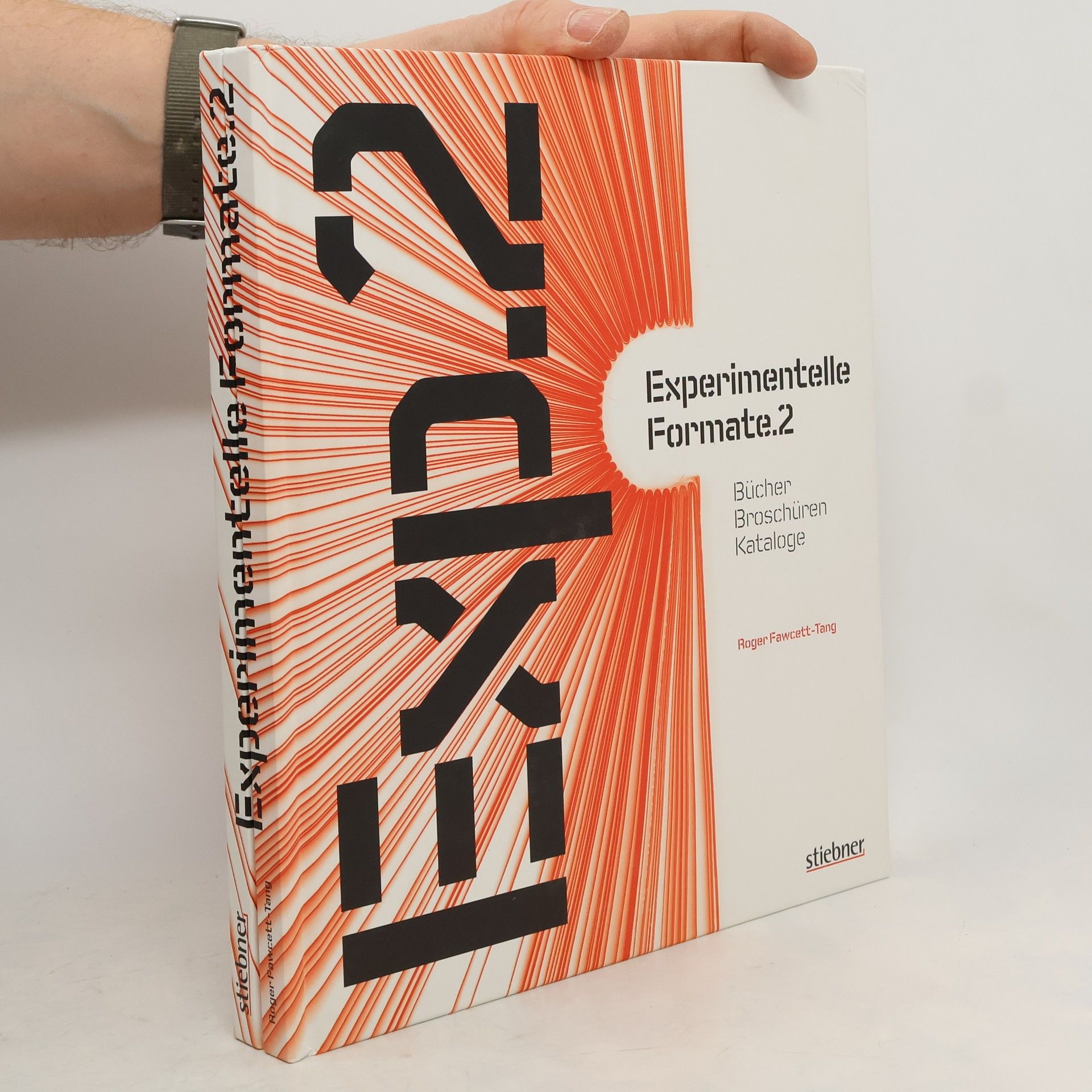 Roger Fawcett-Tang Experimentelle Formate 2