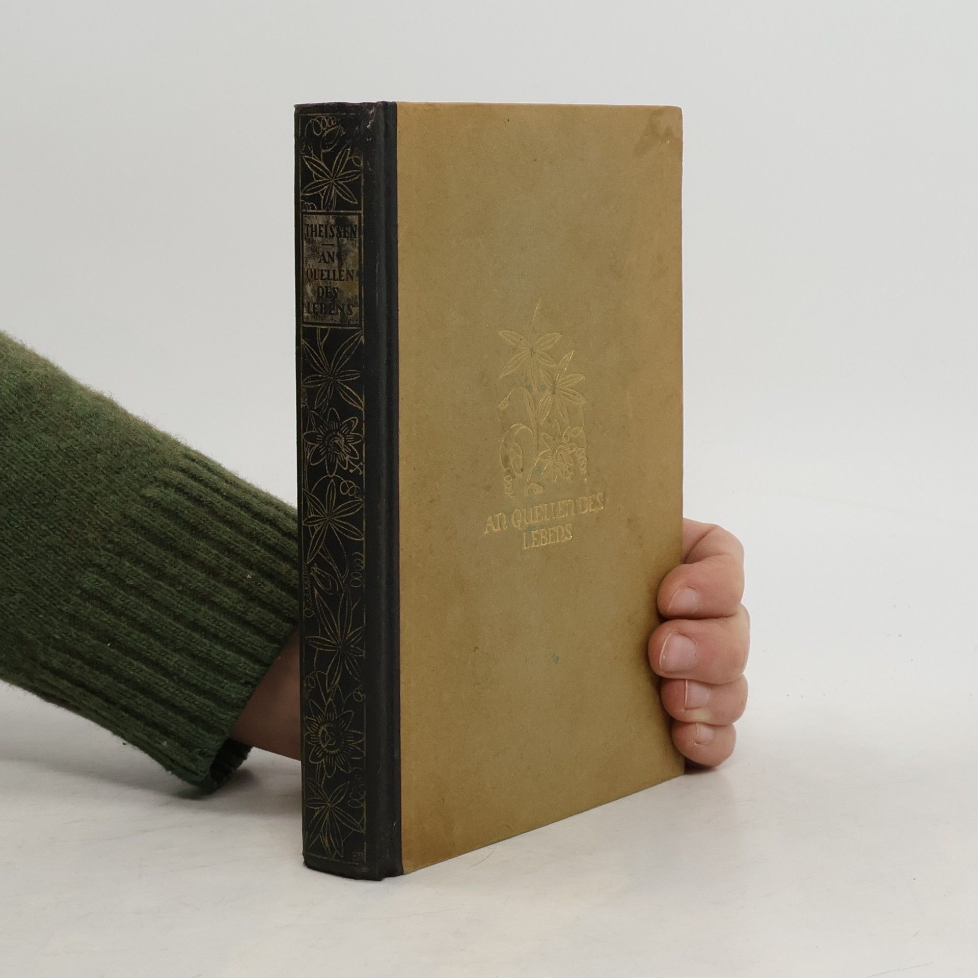 Ferdinand Theissen S. J. An Quellen des Lebens