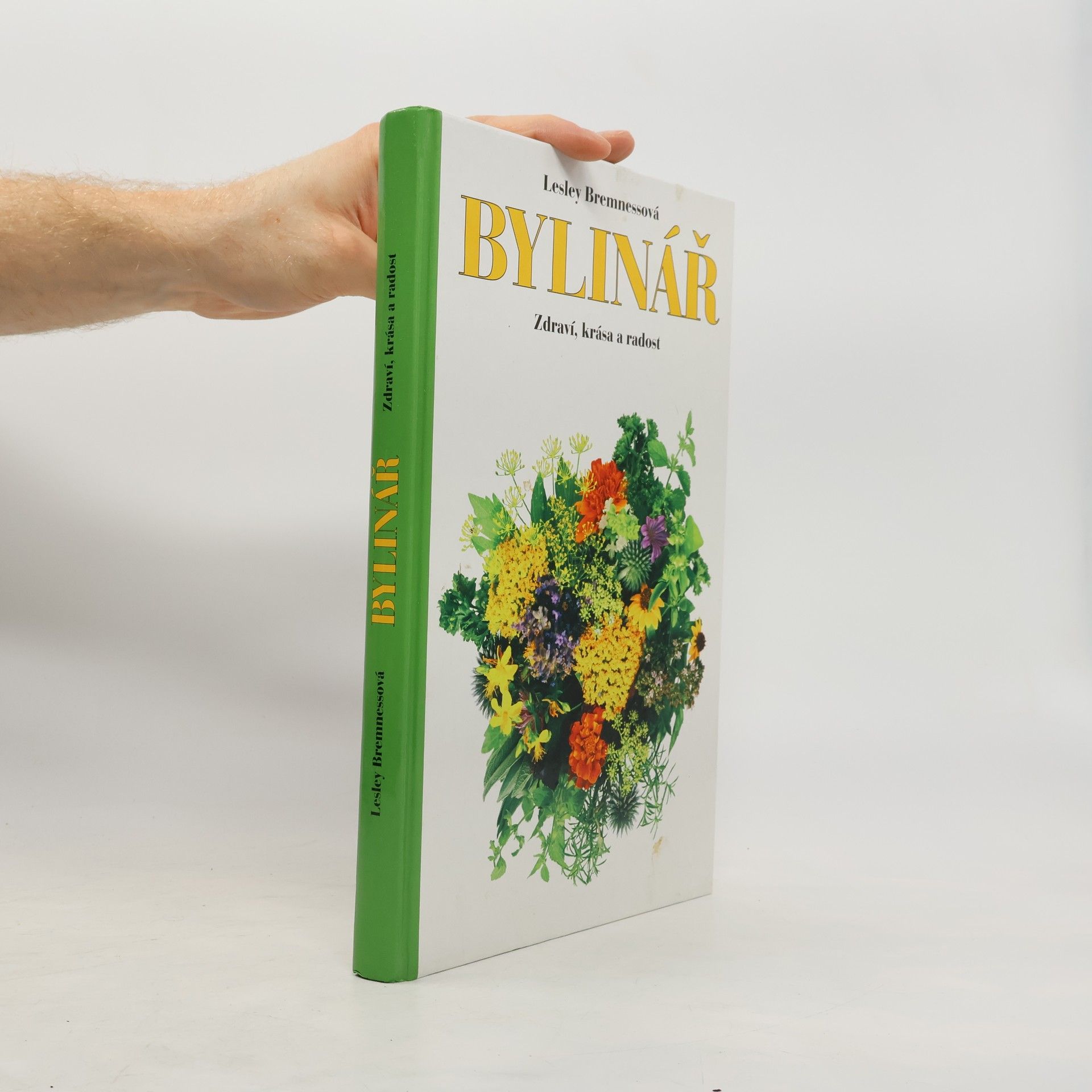 Lesley Bremness Bylinář