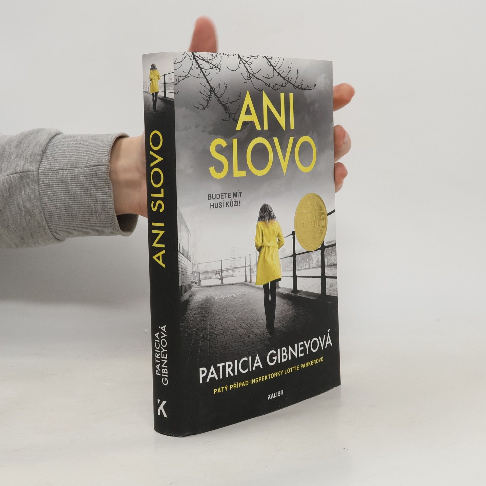 Patricia Gibney Ani slovo