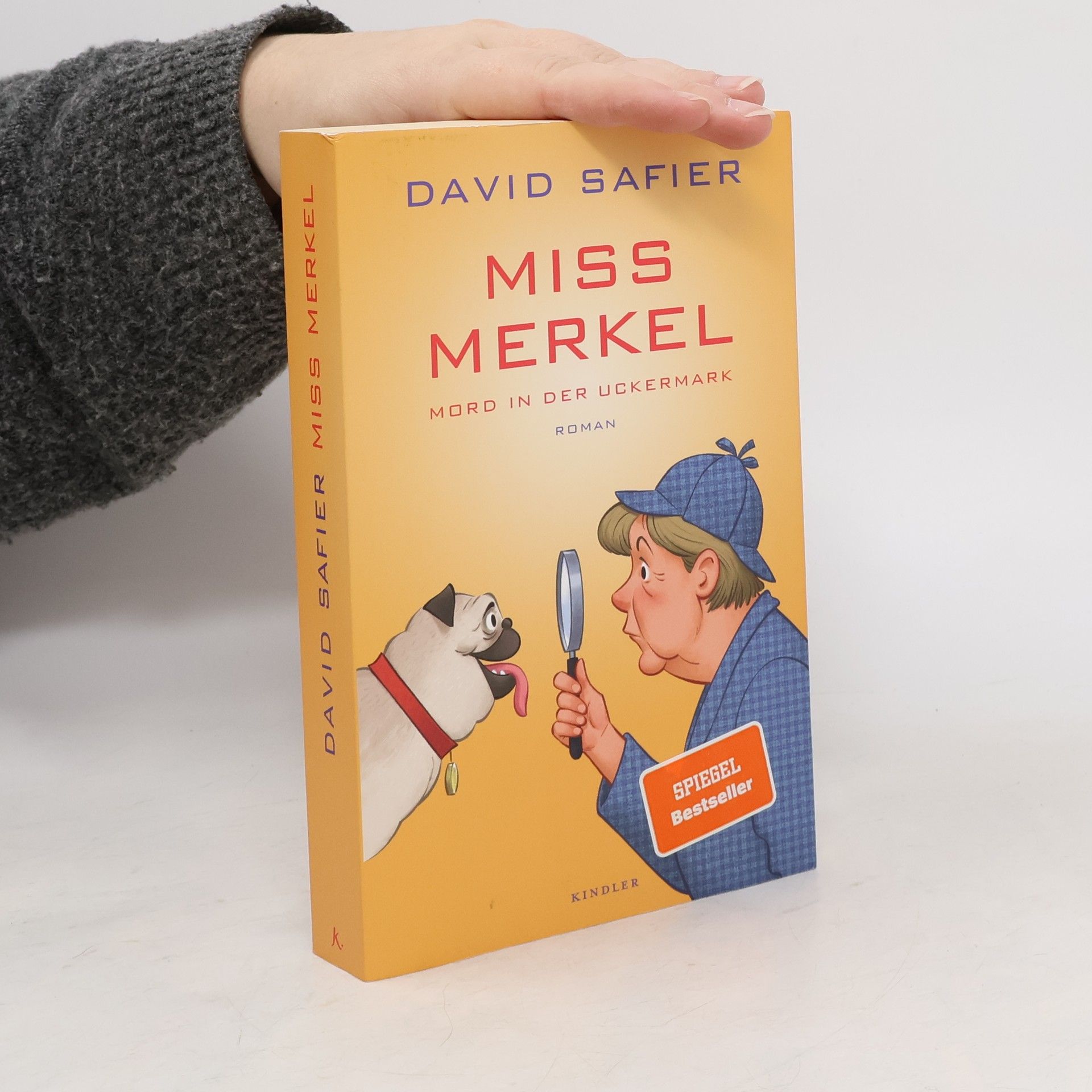 David Safier Miss Merkel