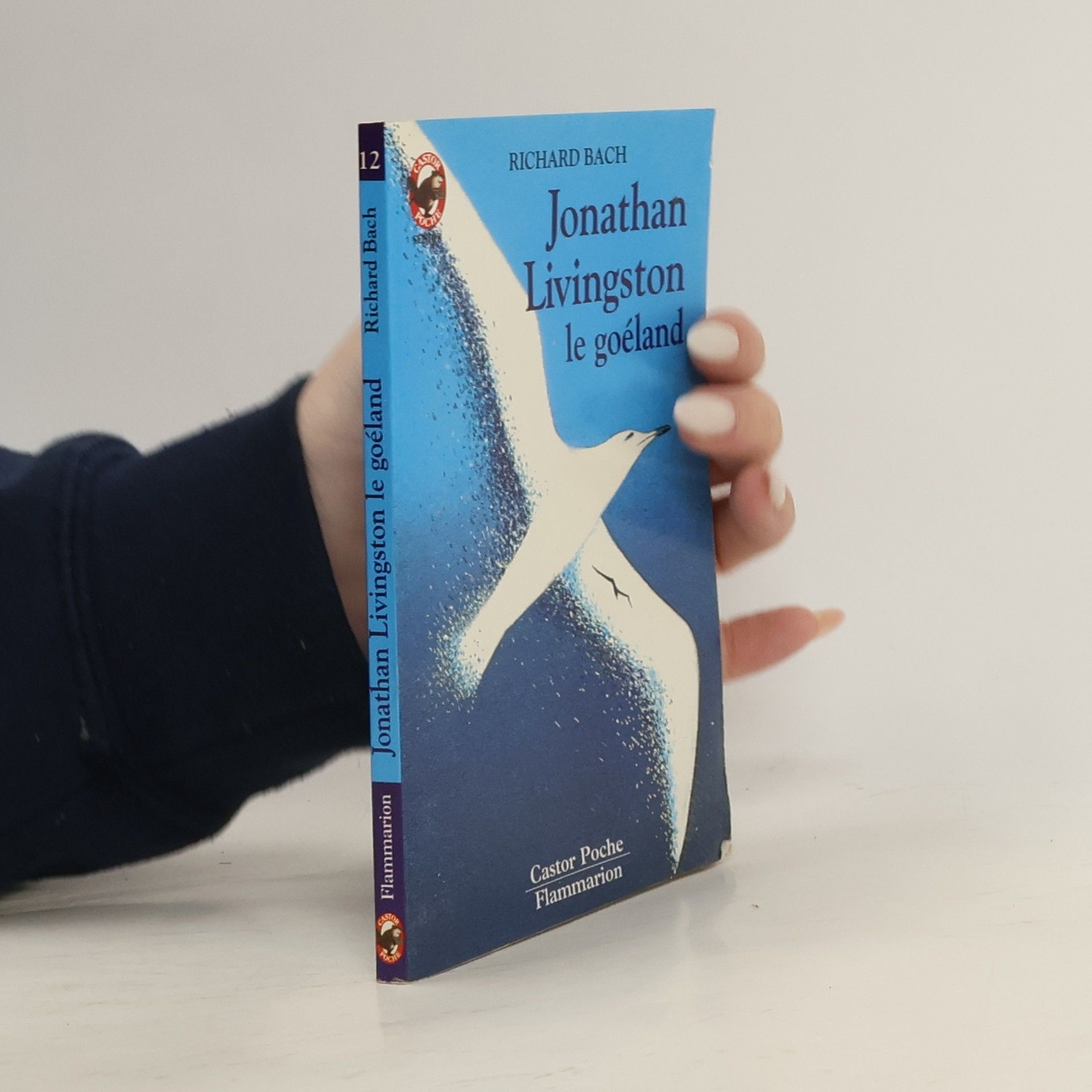 Richard Bach Jonathan Livingston le goéland