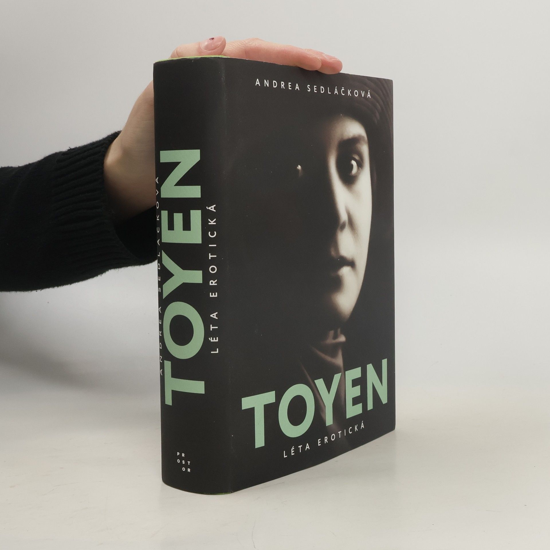 Toyen: Léta erotická