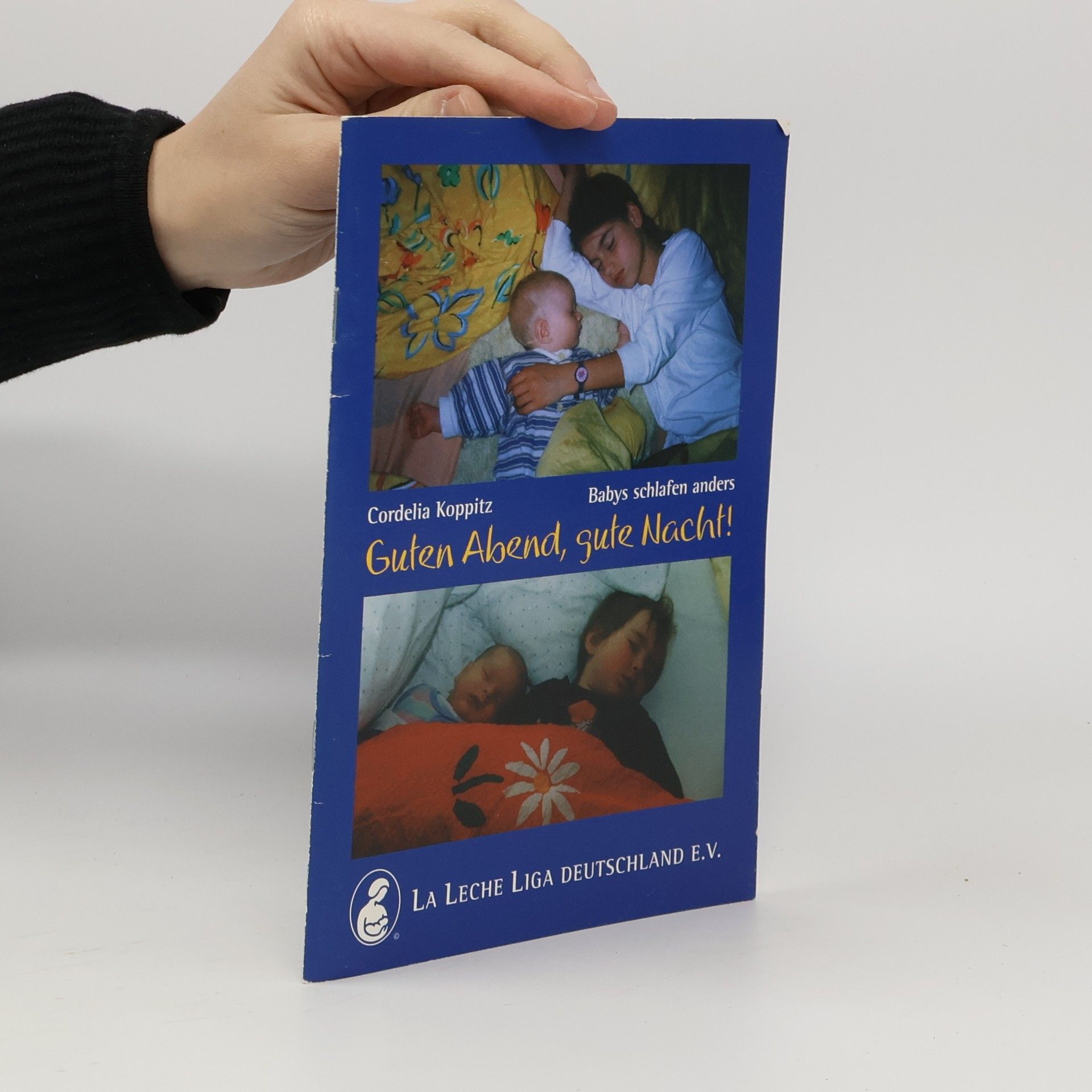 Autorenkollektiv Guten abend, sute nacht!