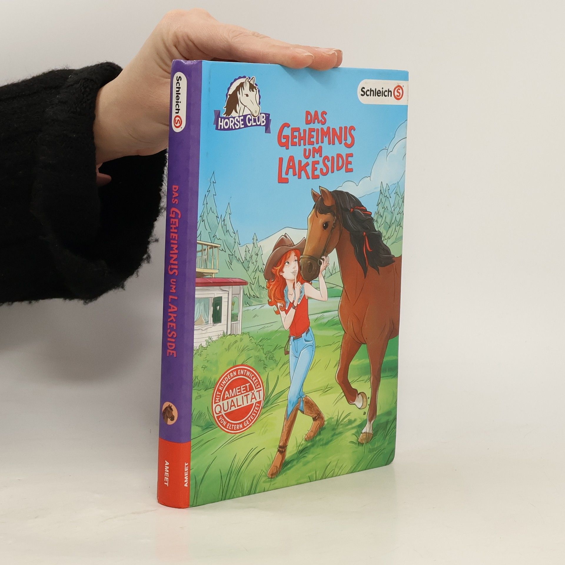 Emma Walden Horse Club - das Geheimnis um Lakeside