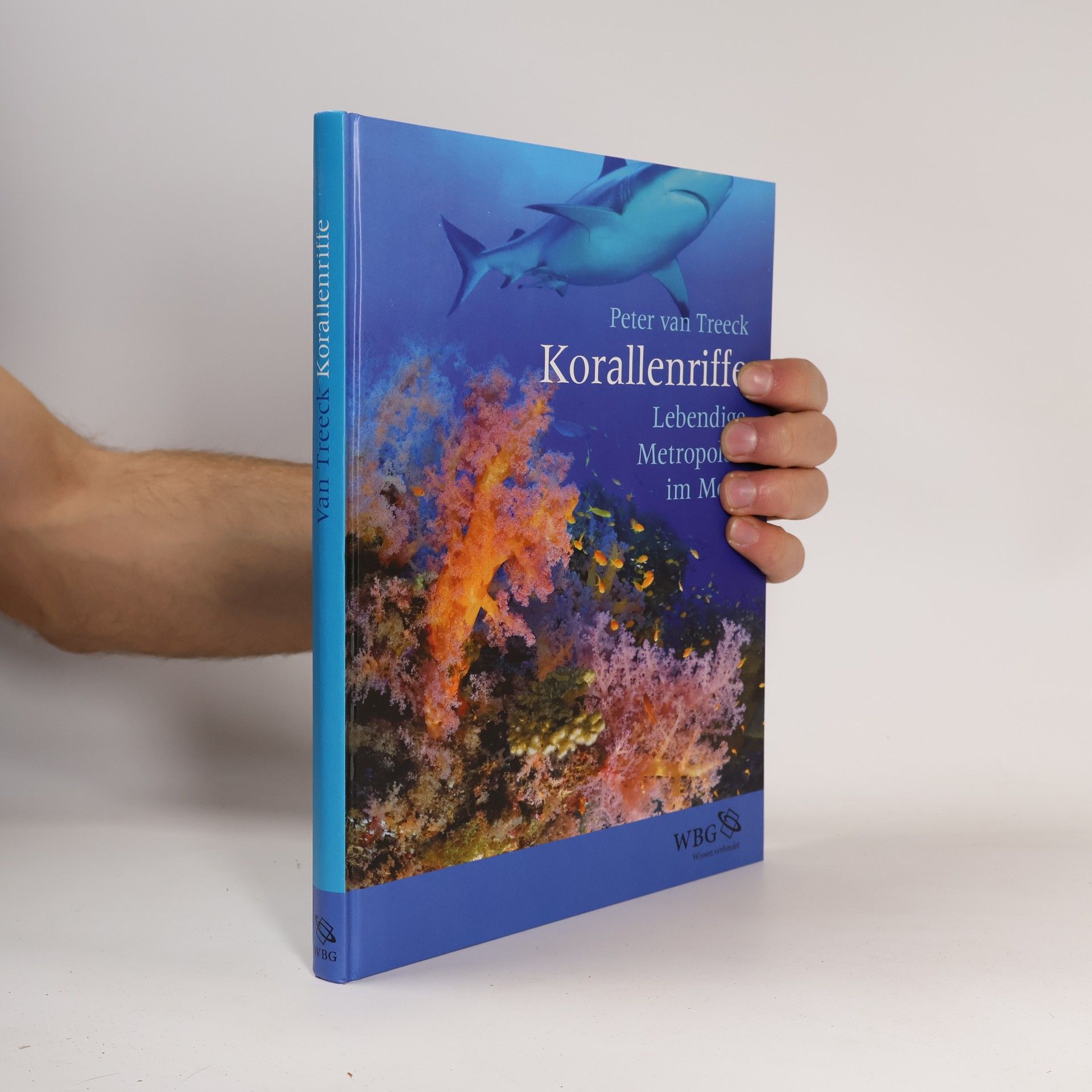 Peter van Treeck Korallenriffe
