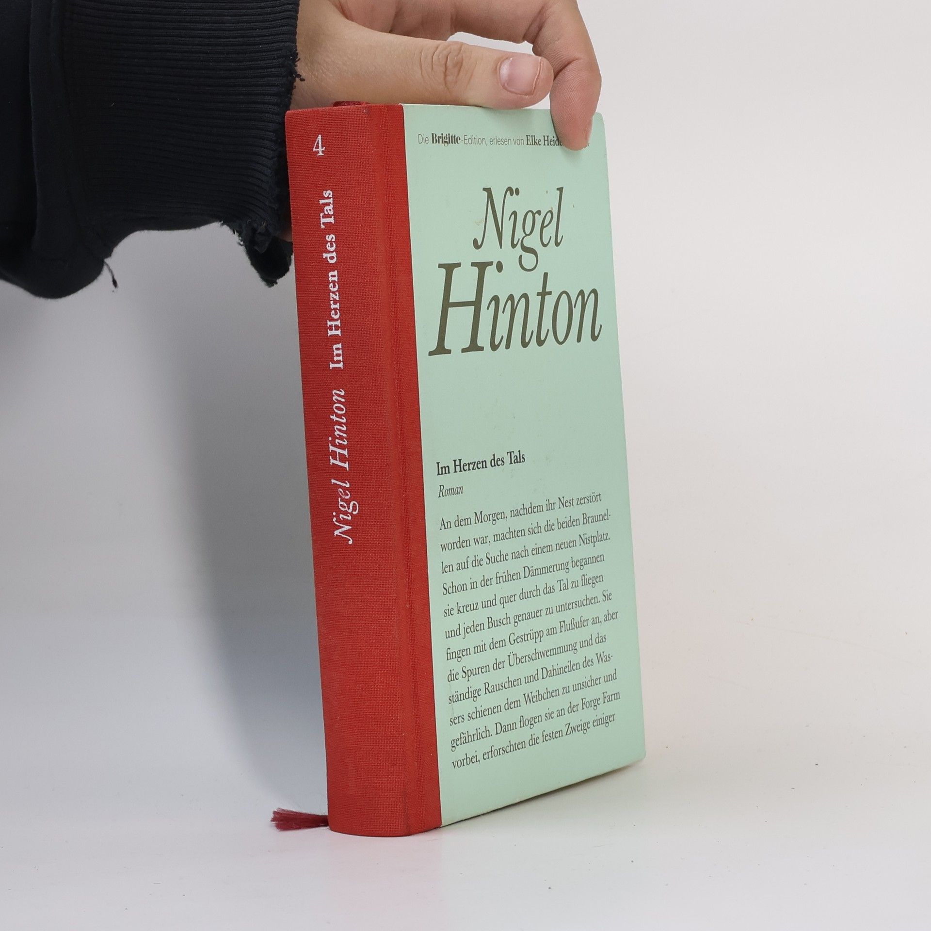 Nigel Hinton Im Herzen des Tals 4