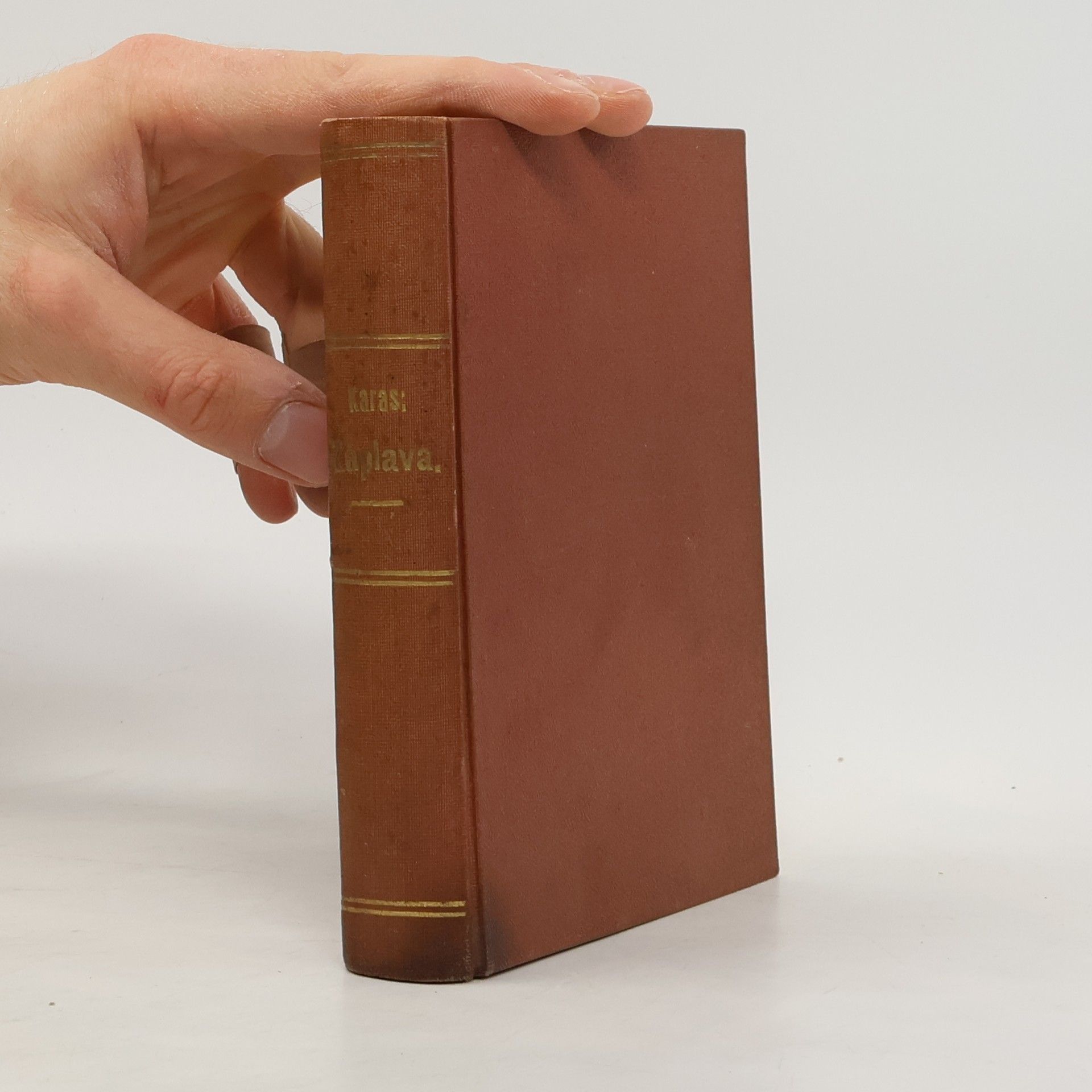 Josef František Karas Záplava