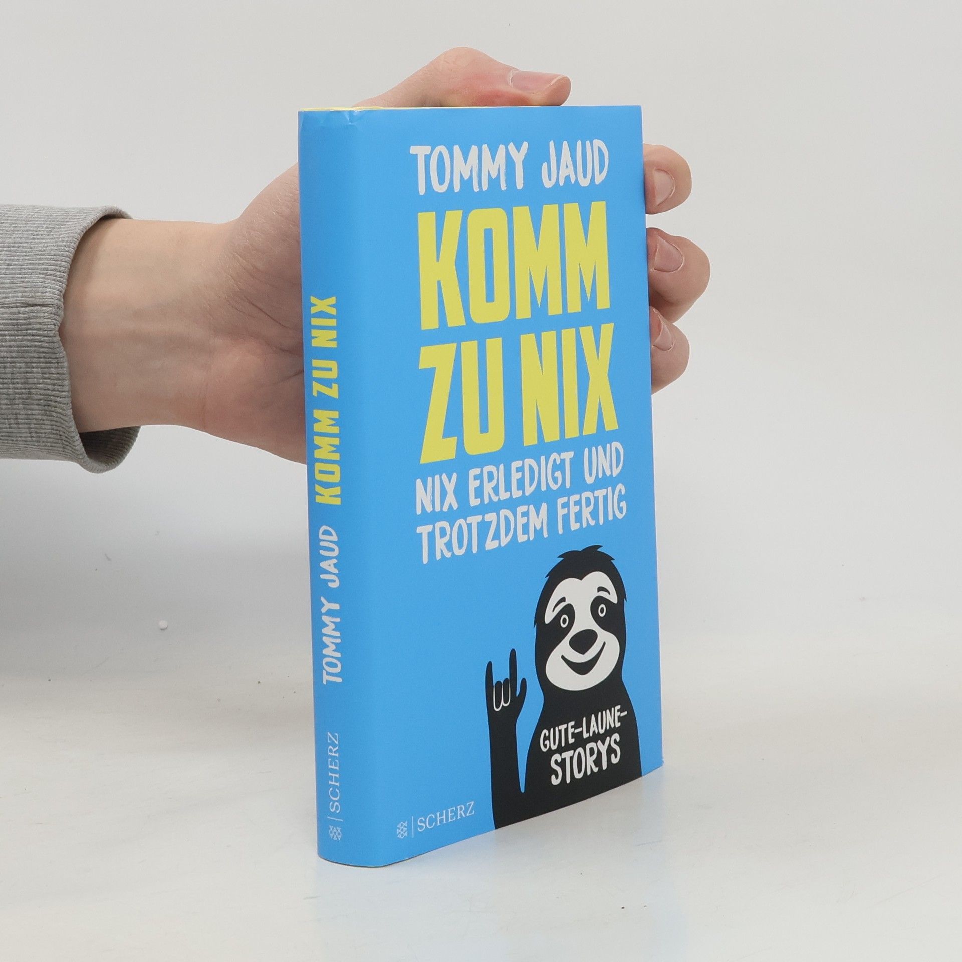 Tommy Jaud Komm zu nix. Nix erledigt und trotzdem fertig