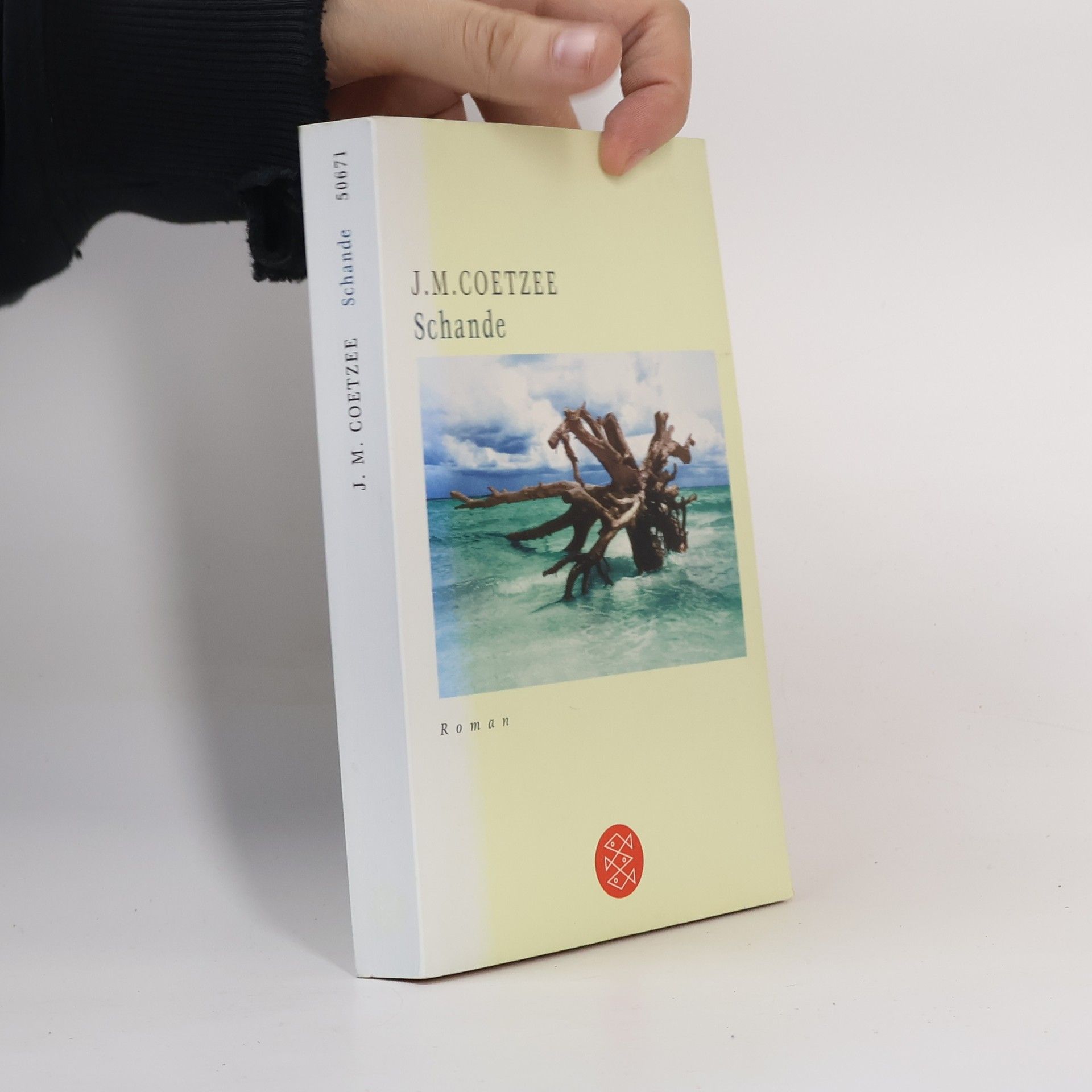 John Maxwell Coetzee Schande