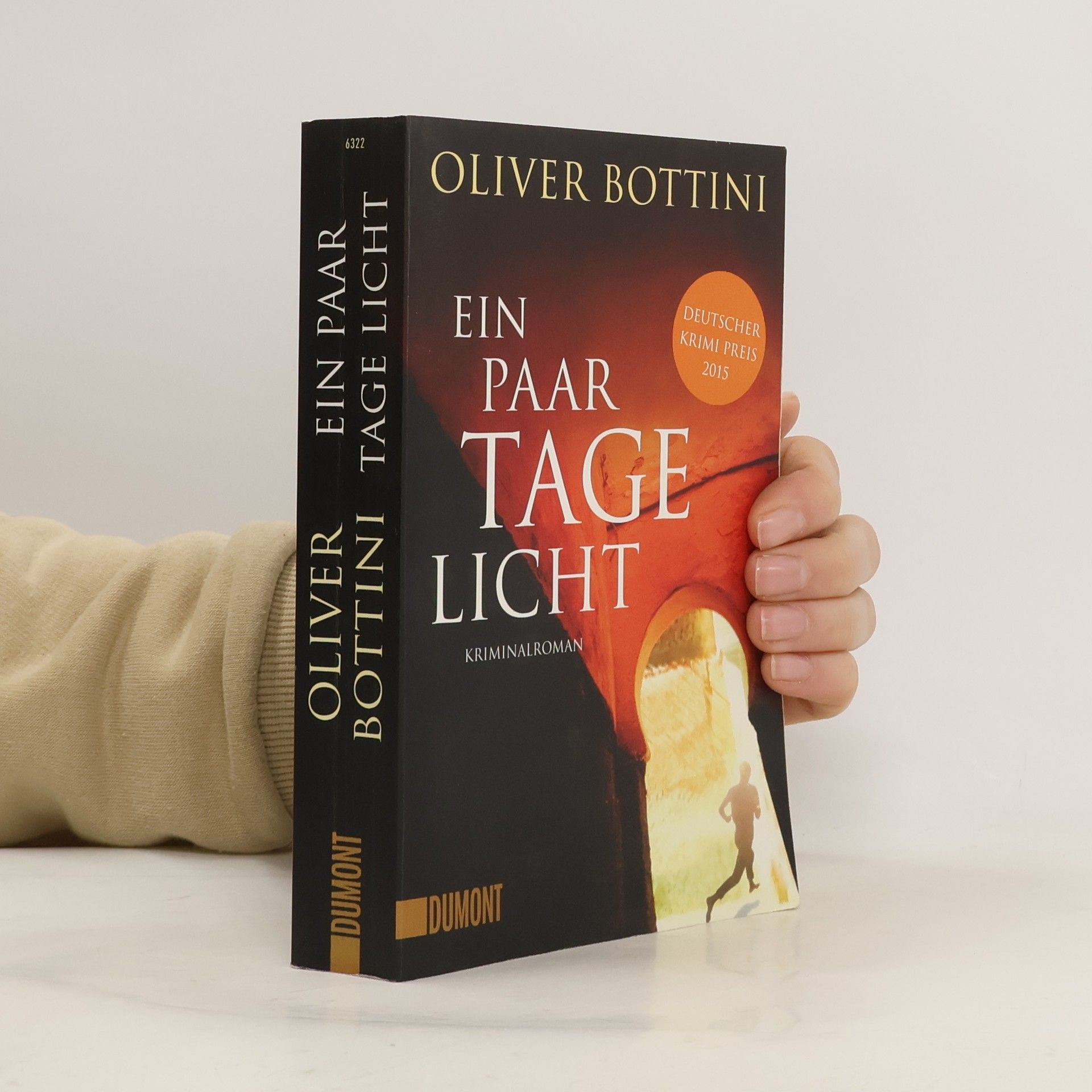 Oliver Bottini Ein paar Tage Licht