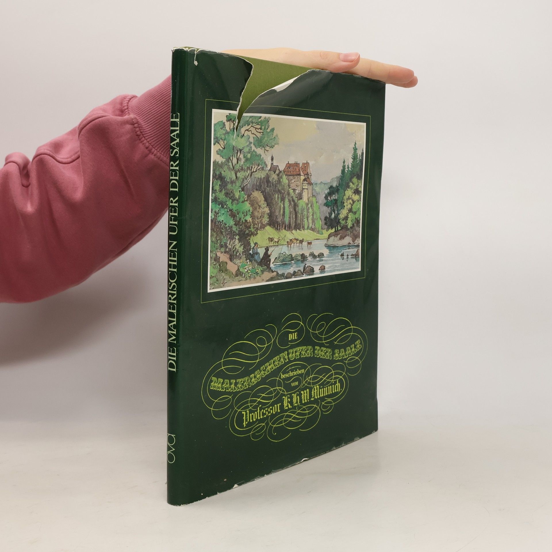 Die malerischen Ufer der Saale