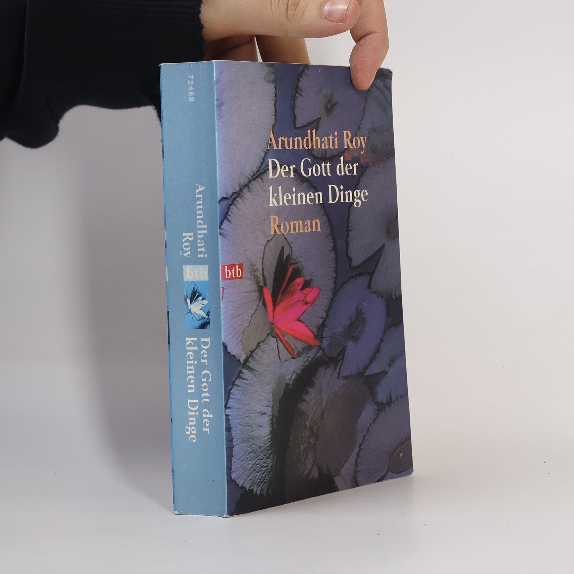 Arundhati Roy Der Gott der kleinen Dinge