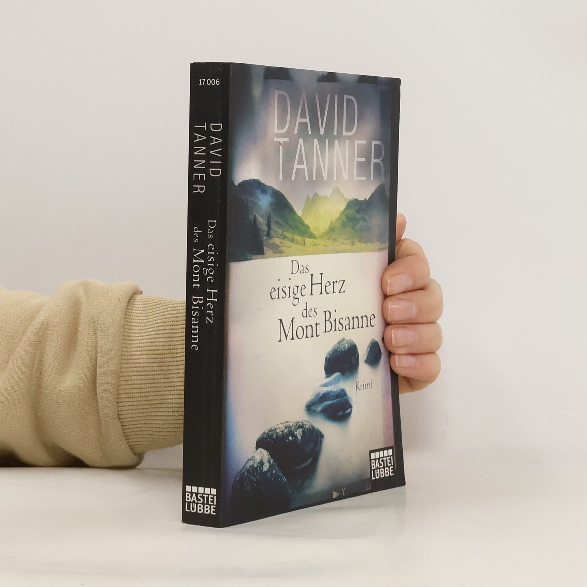 David Tanner Das eisige Herz des Mont Bisanne