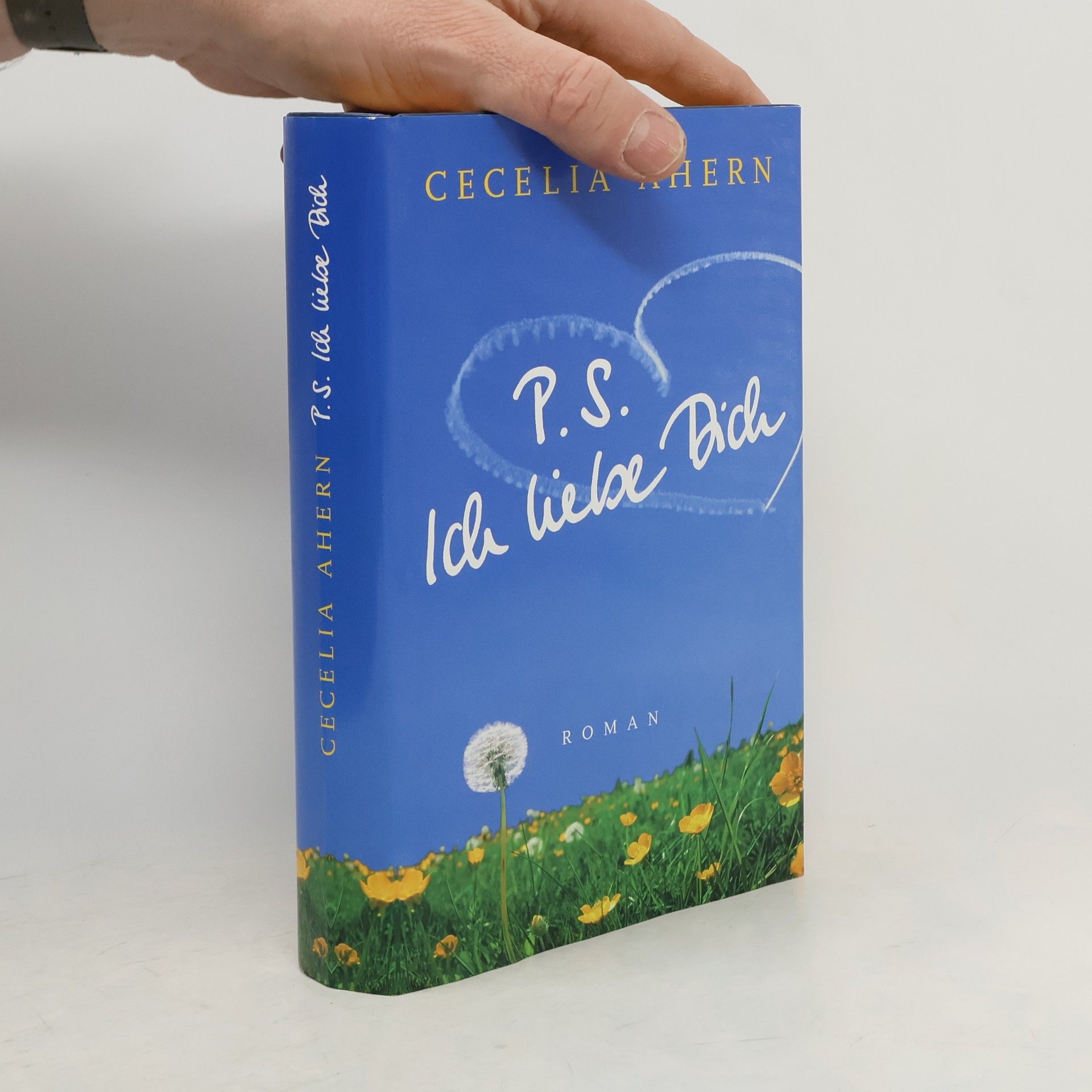Cecelia Ahern P.S. Ich liebe Dich
