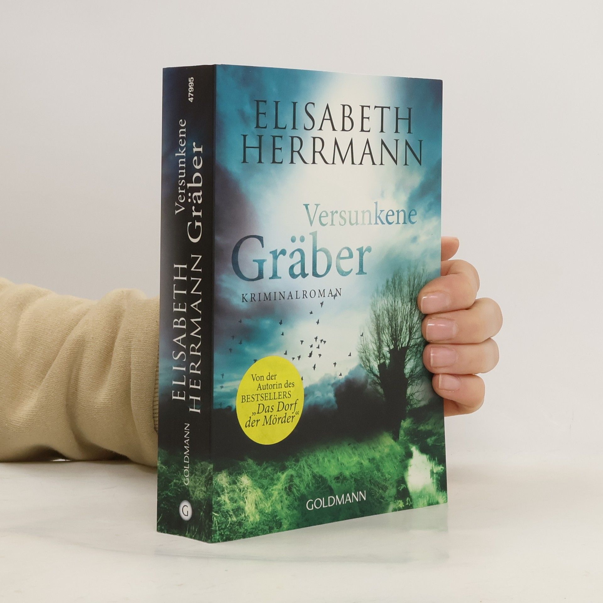 Elisabeth Hermann Versunkene Gräber