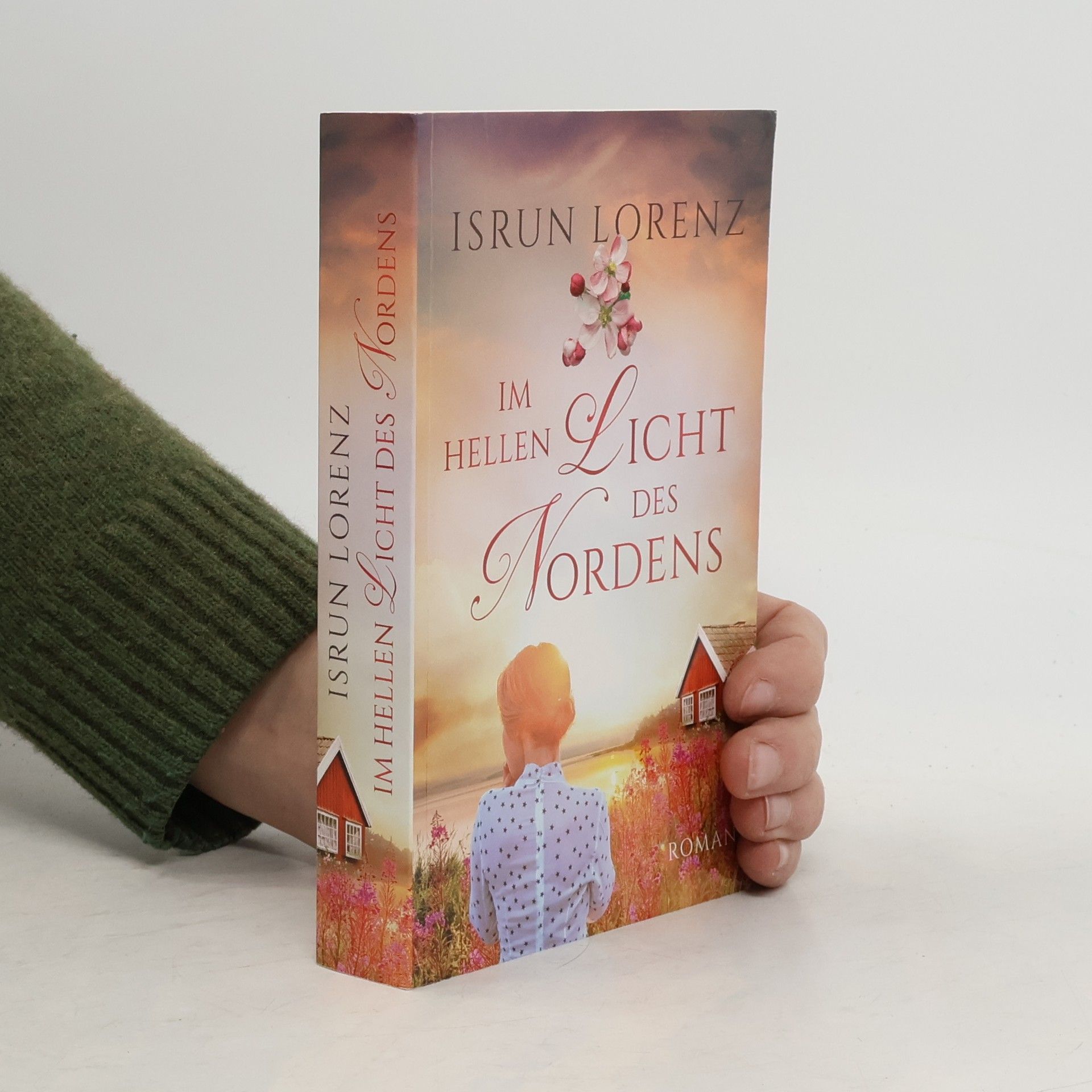Isrun Lorenz Im helle Licht des Nordens
