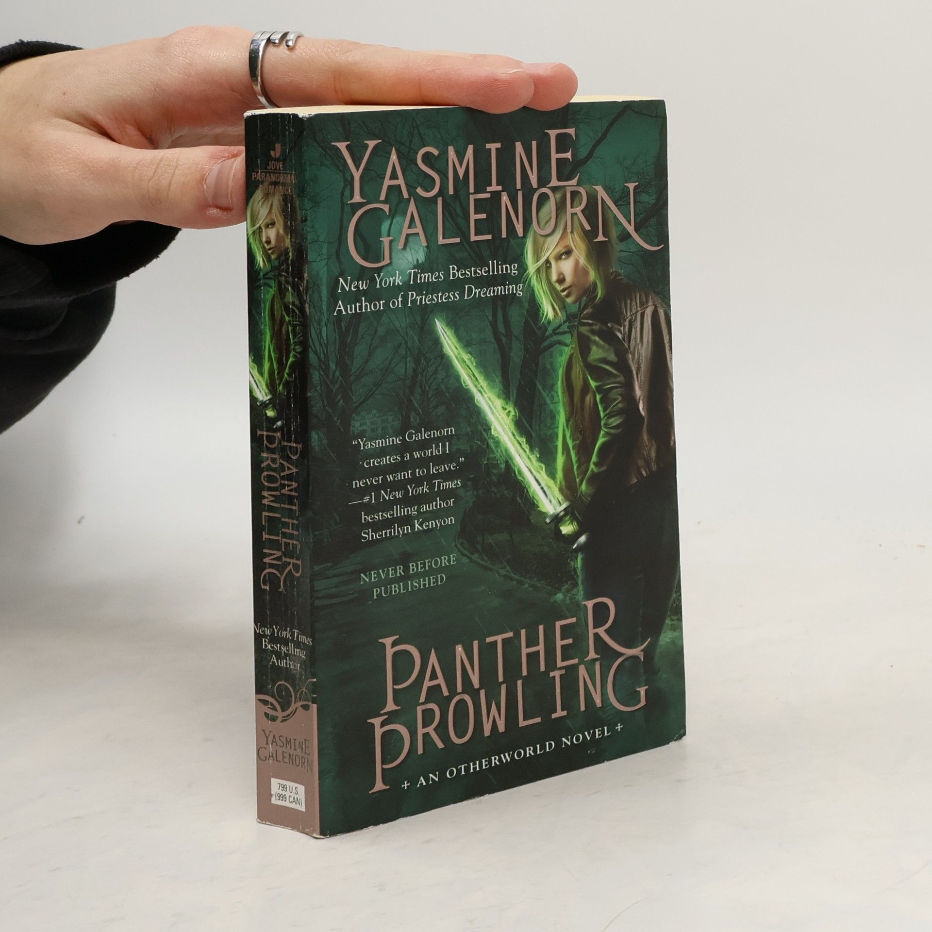 Yasmine Galenorn Otherworld Novel - 17: Panther Prowling