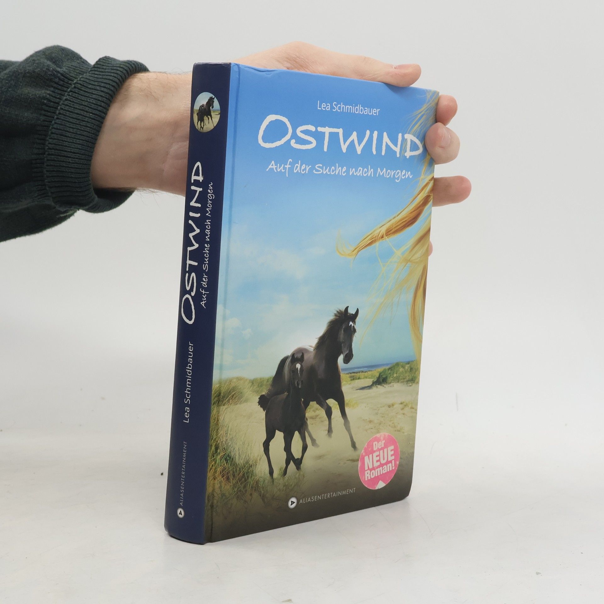 Ostwind - auf der Suche nach Morgen