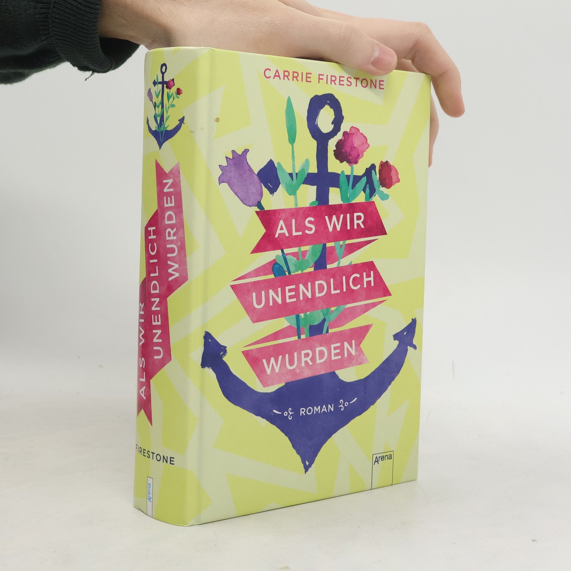 Carrie Firestone Als wir unendlich wurden