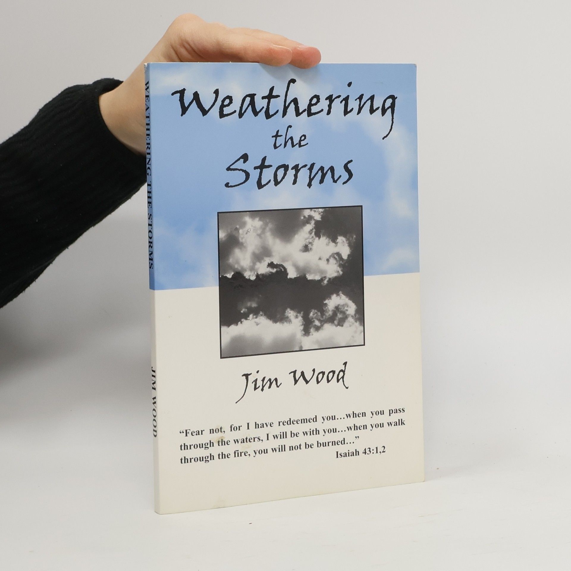 Jim Wood Weathering the Storms