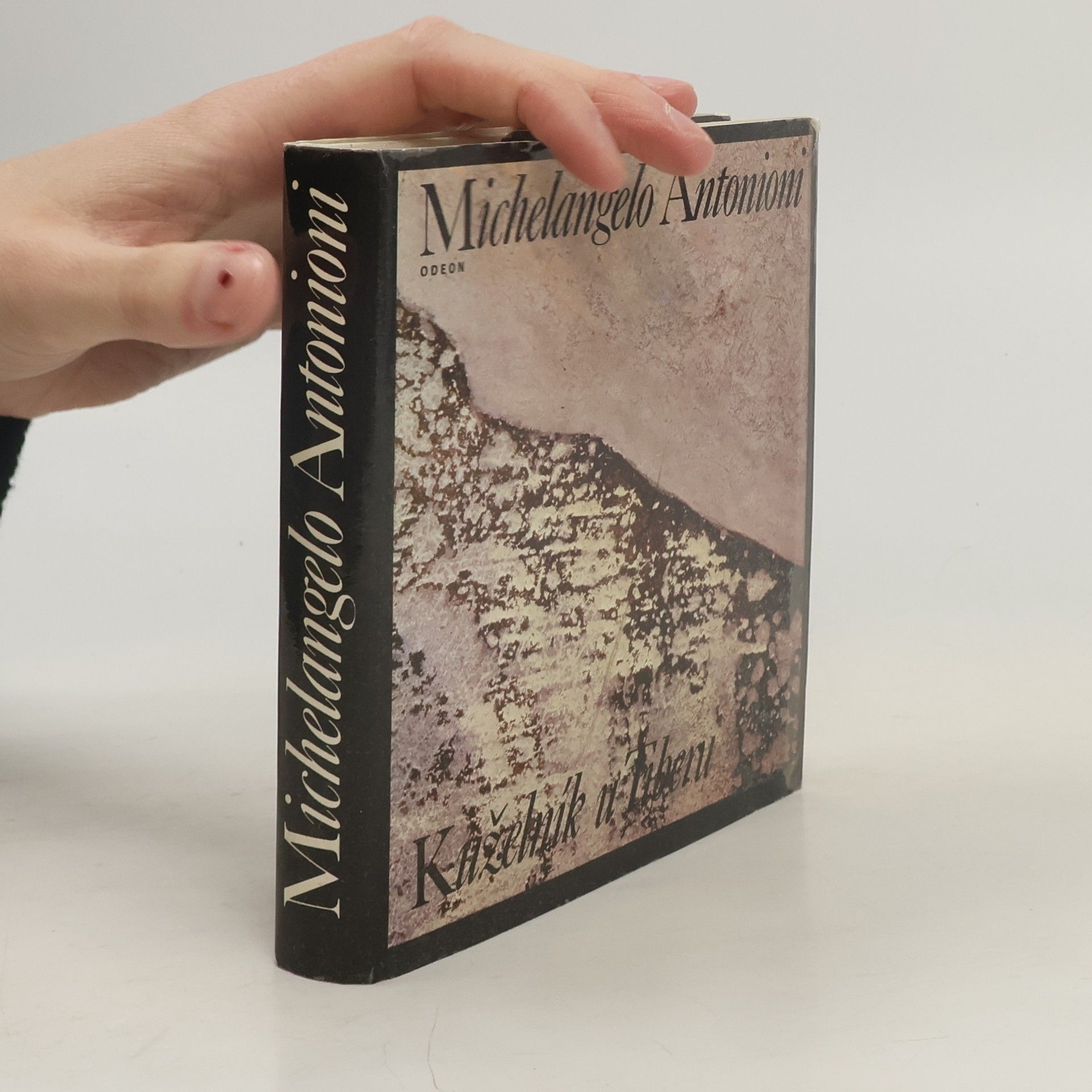 Michelangelo Antonioni Kuželník u Tiberu