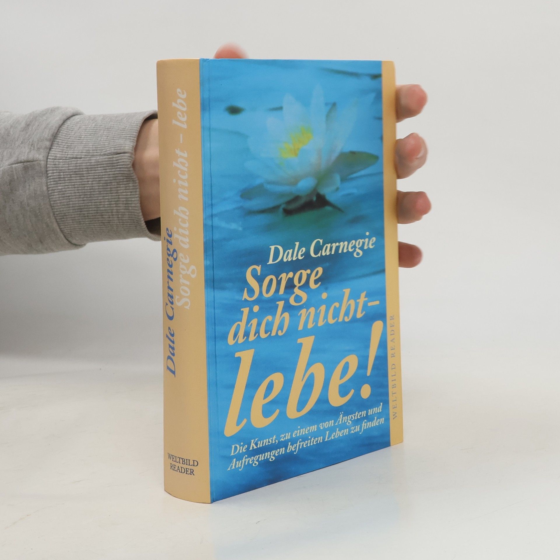 Dale Carnegie Sorge dich nicht - lebe!