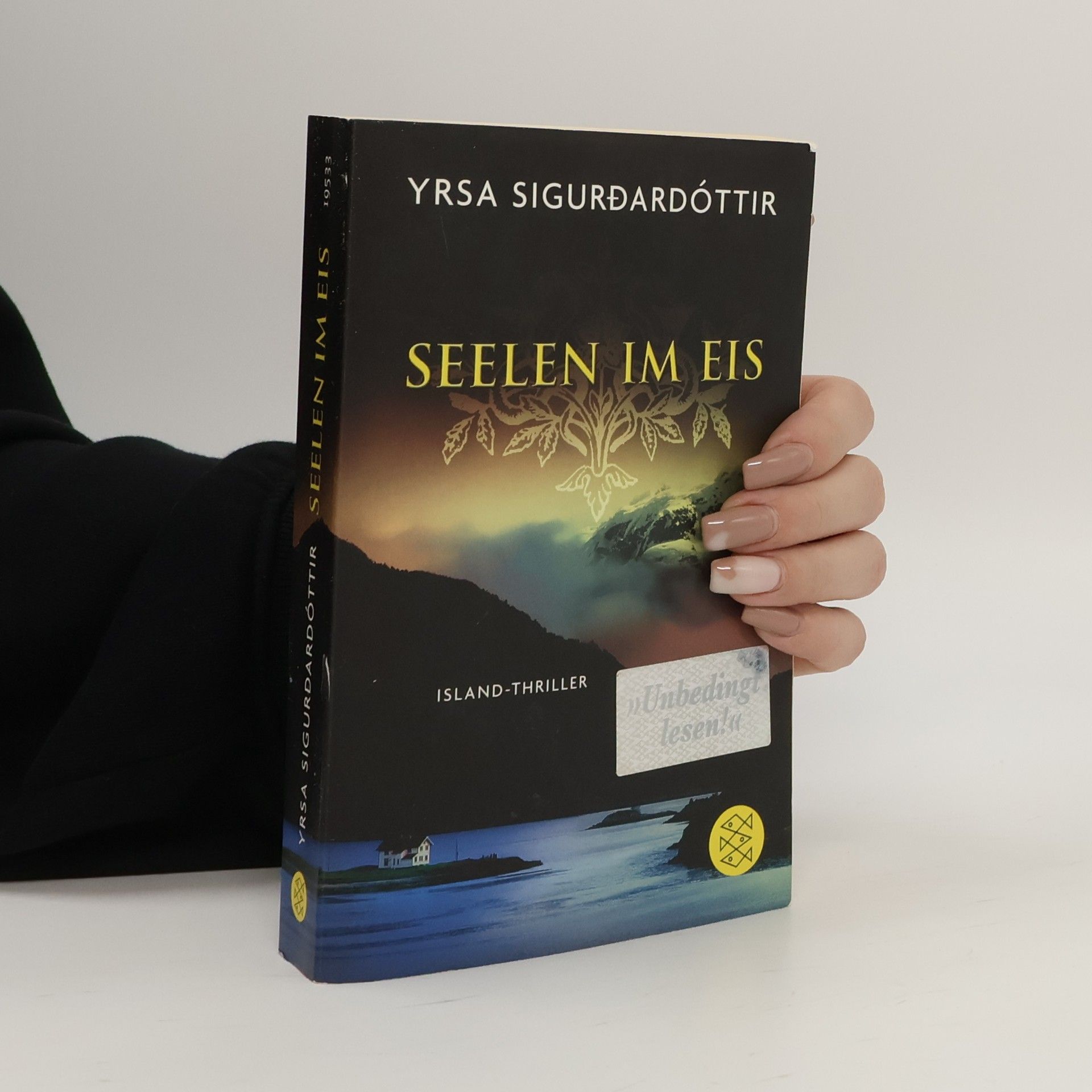 Yrsa Sigurðardóttir Seelen im Eis