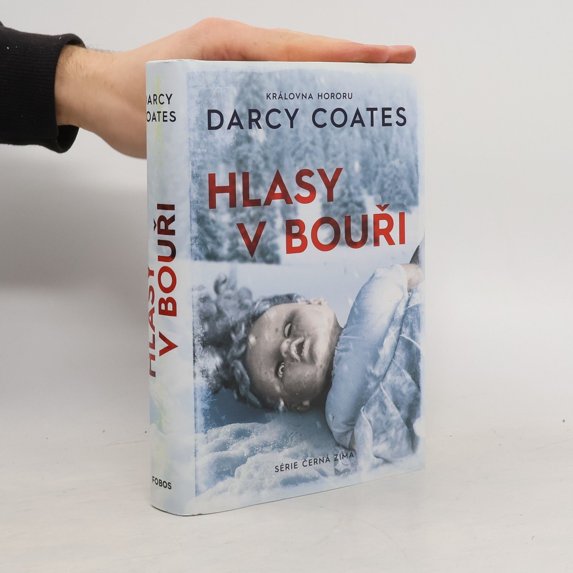 Darcy Coates Hlasy v bouři