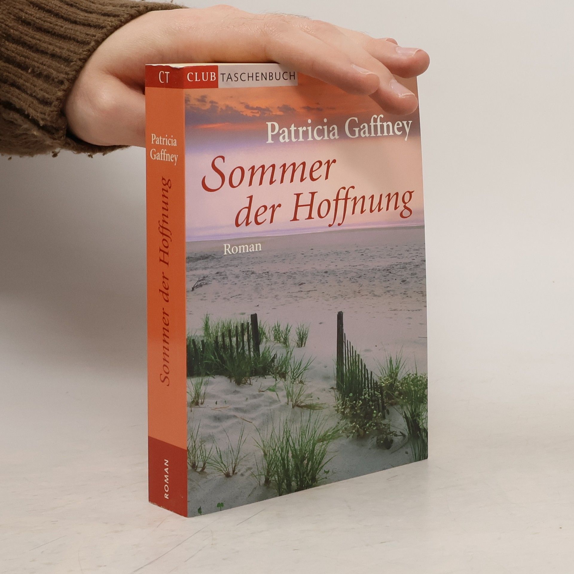 Patricia Gaffney Sommer der Hoffnung