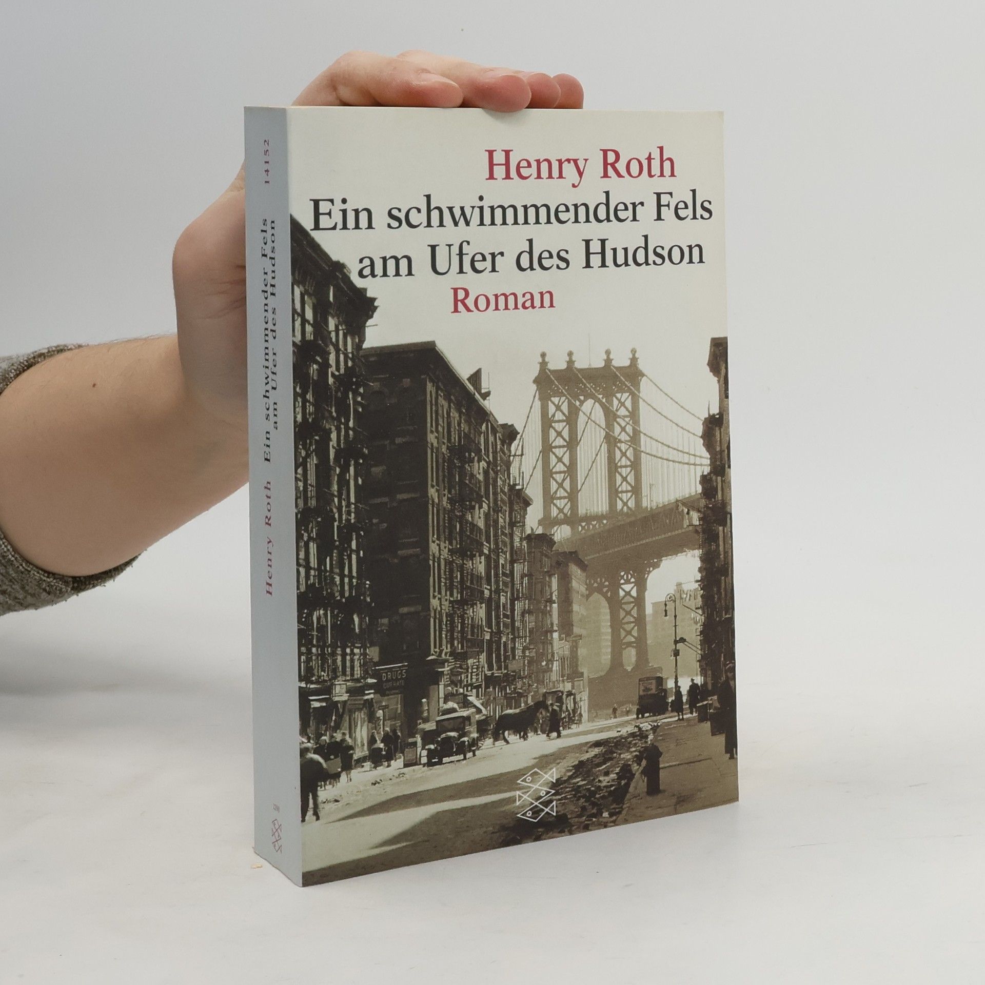 Henry Roth Ein schwimmender Fels am Ufer des Hudson