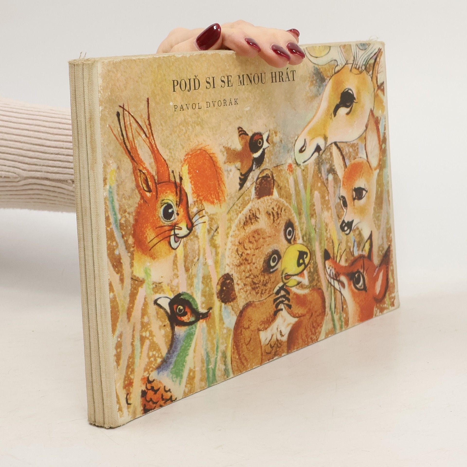 Pavol Dvořák Pojď si se mnou hrát