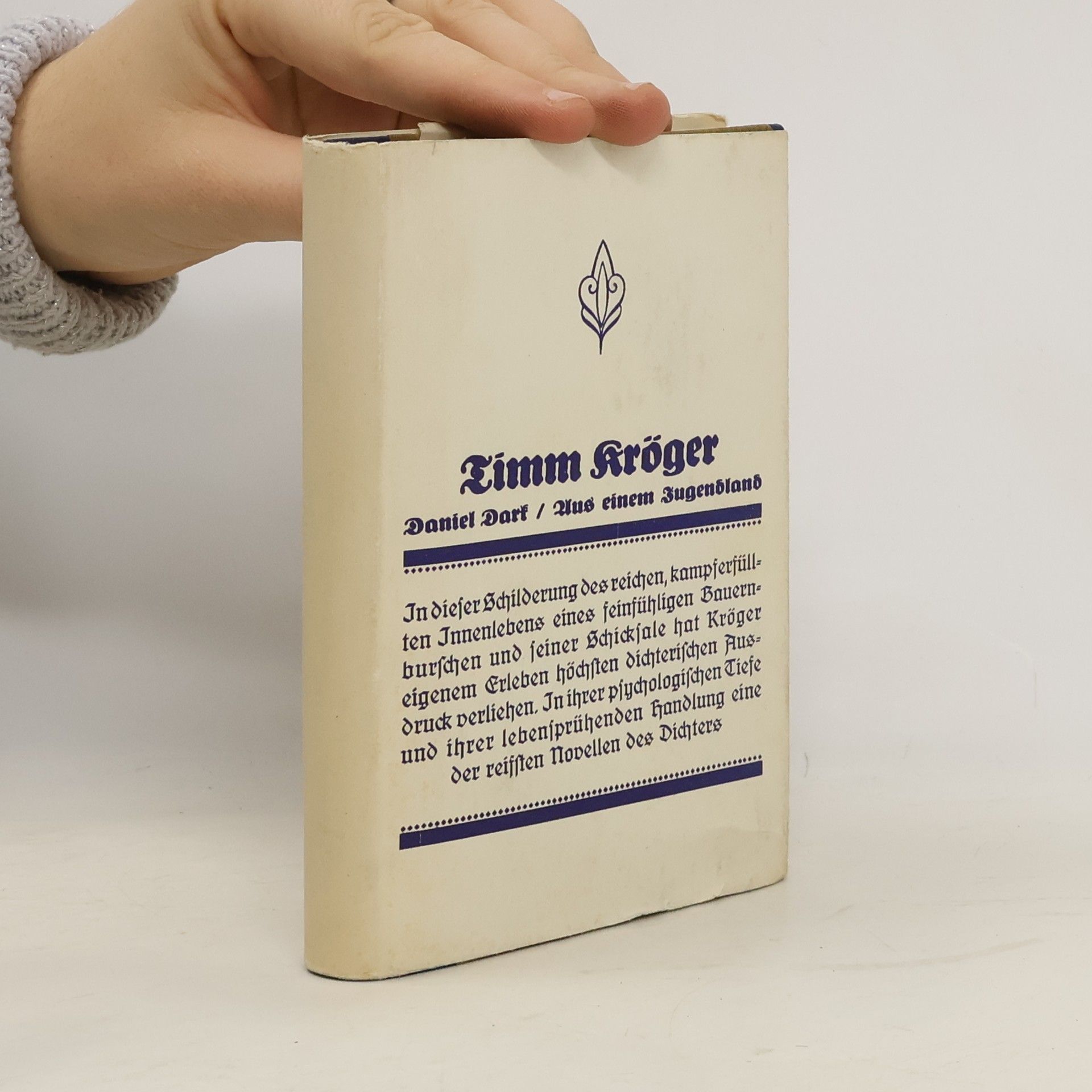 Timm Kröger Daniel Dark aus einem Jugendland