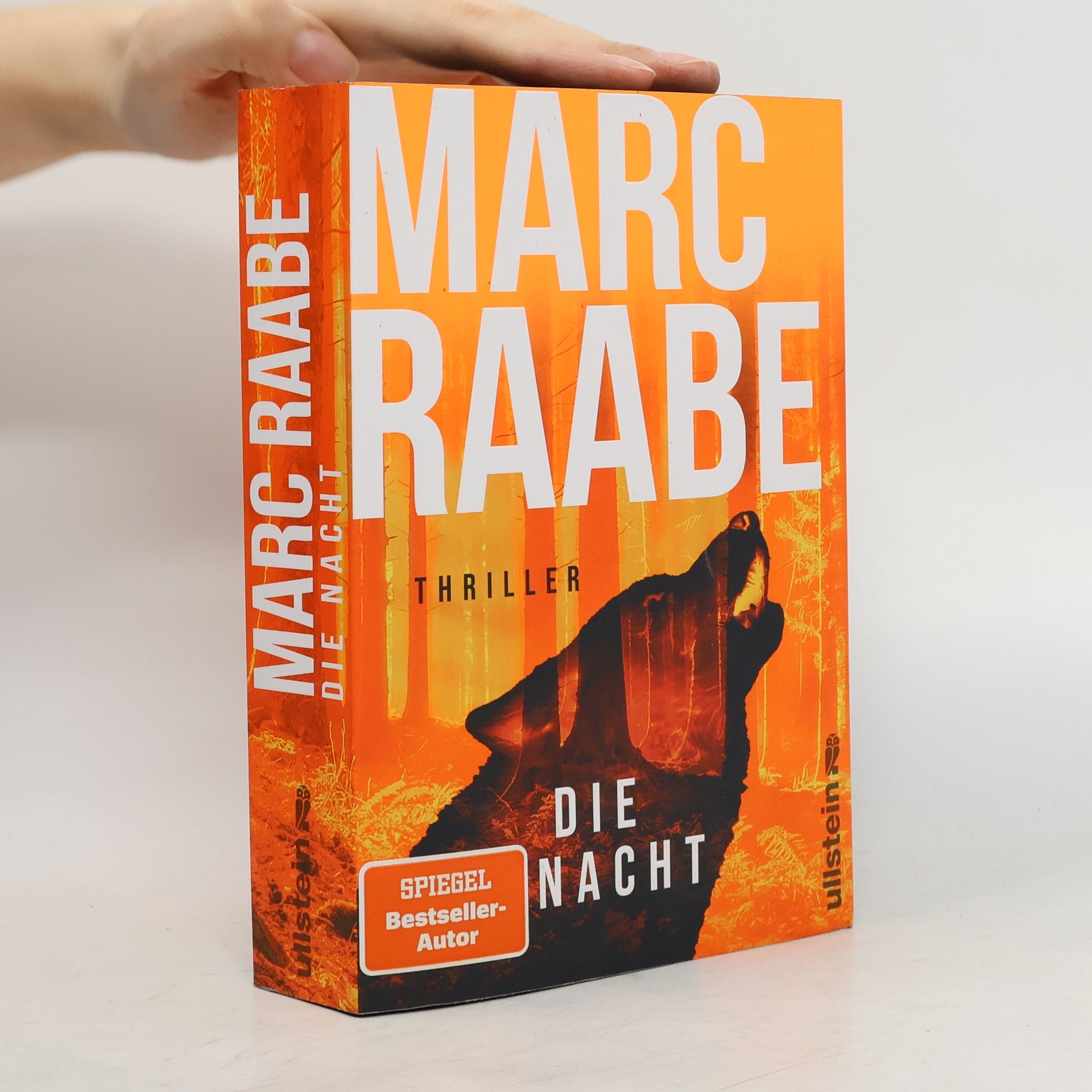 Marc Raabe Die Nacht