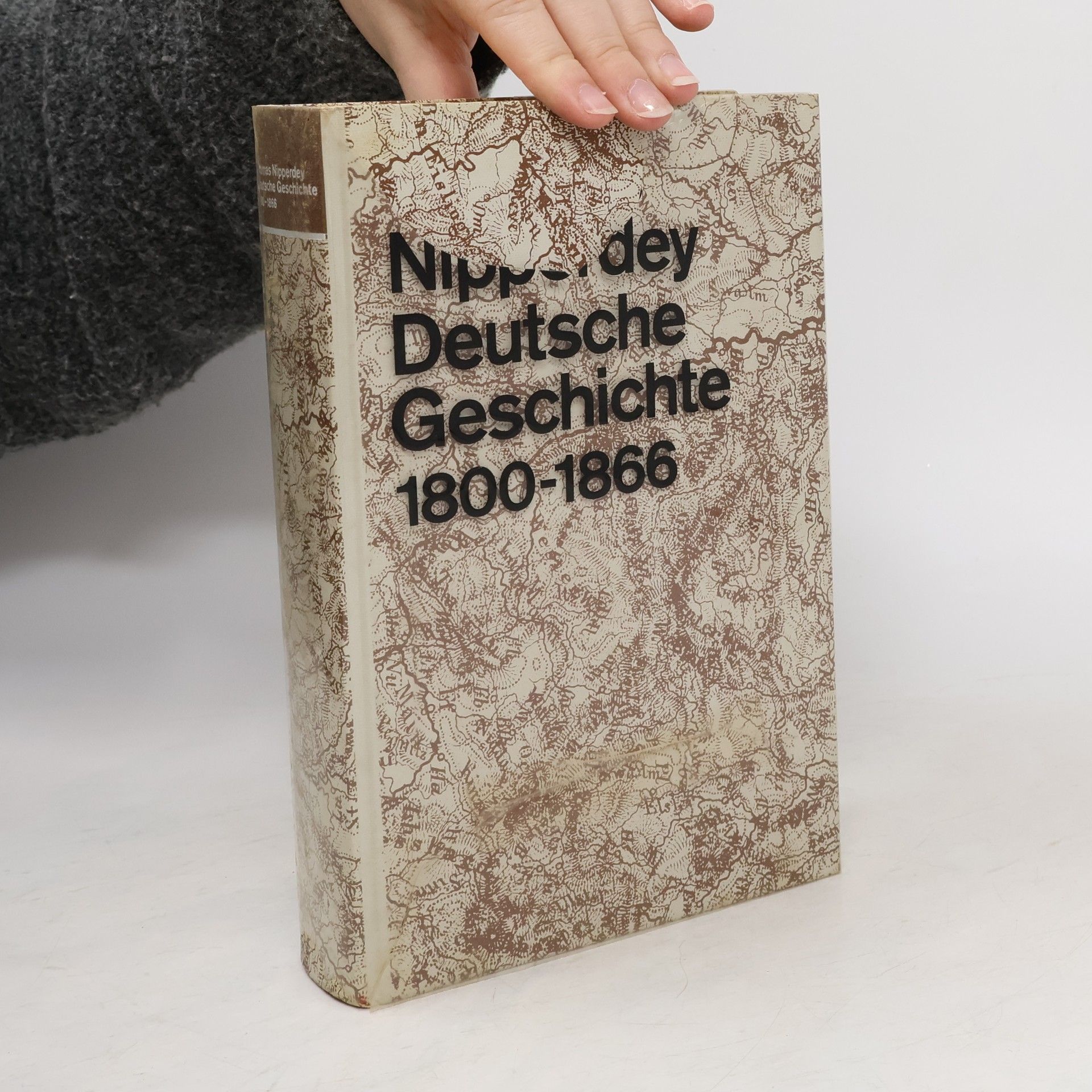 Thomas Nipperdey Deutsche Geschichte 1800-1866