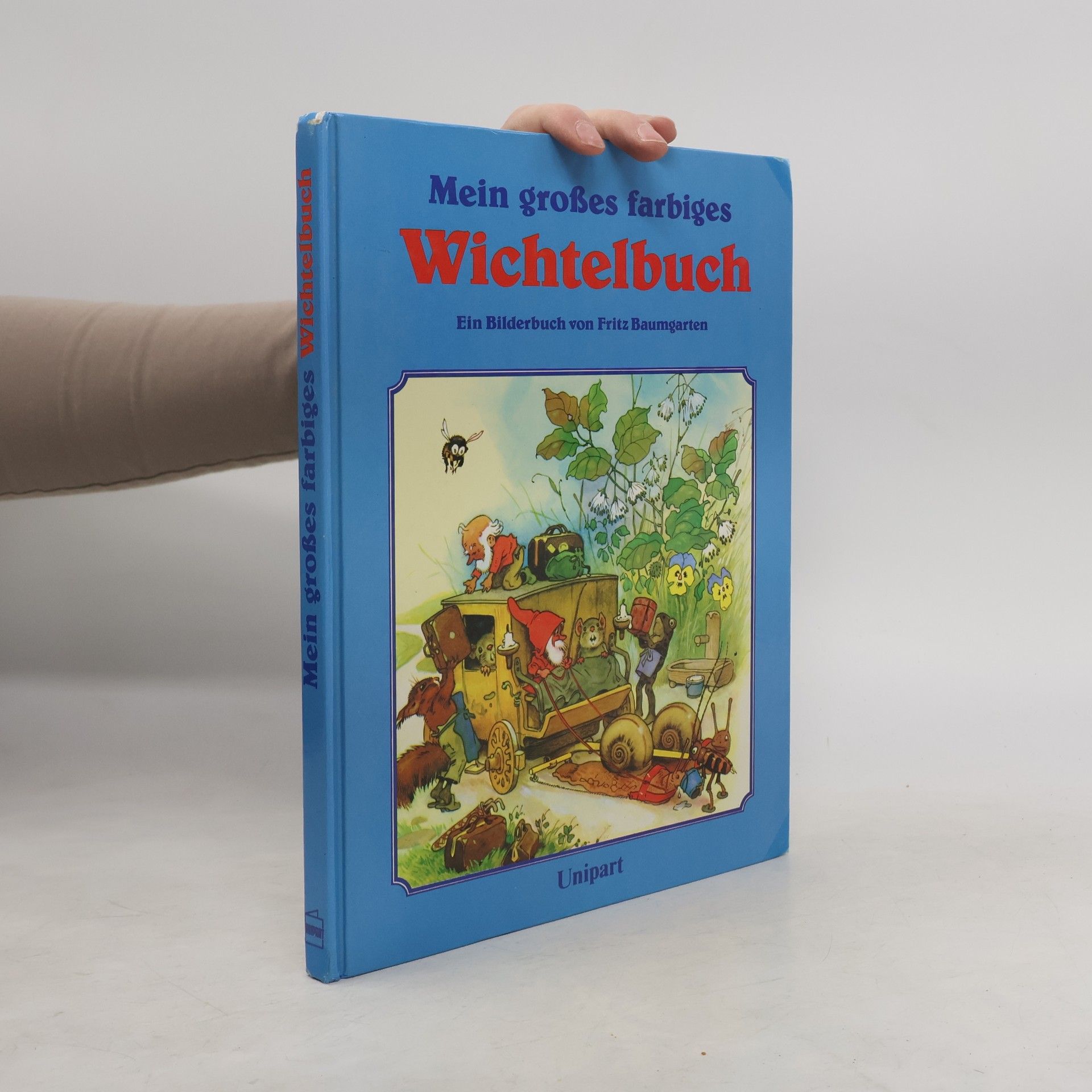 Autorenkollektiv Mein grosses farbiges Wichtelbuch