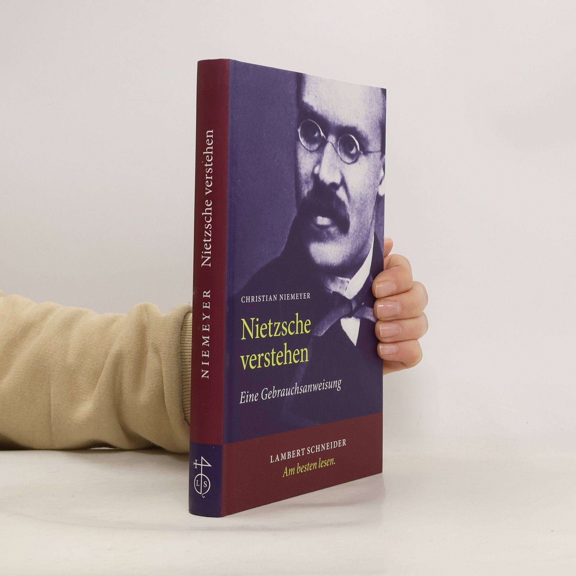 Christian Niemeyer Nietzsche verstehen